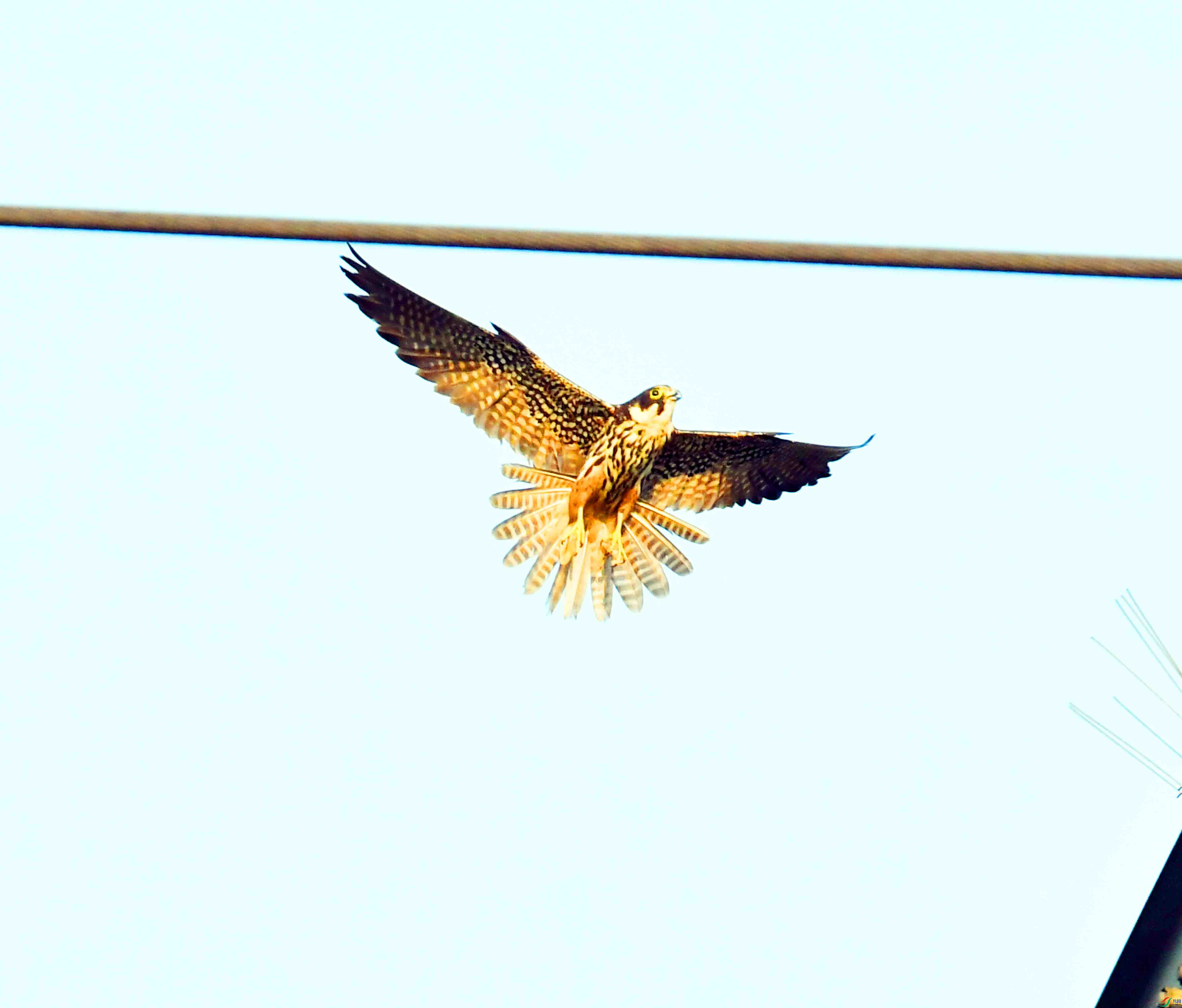 DSC_0632.JPG