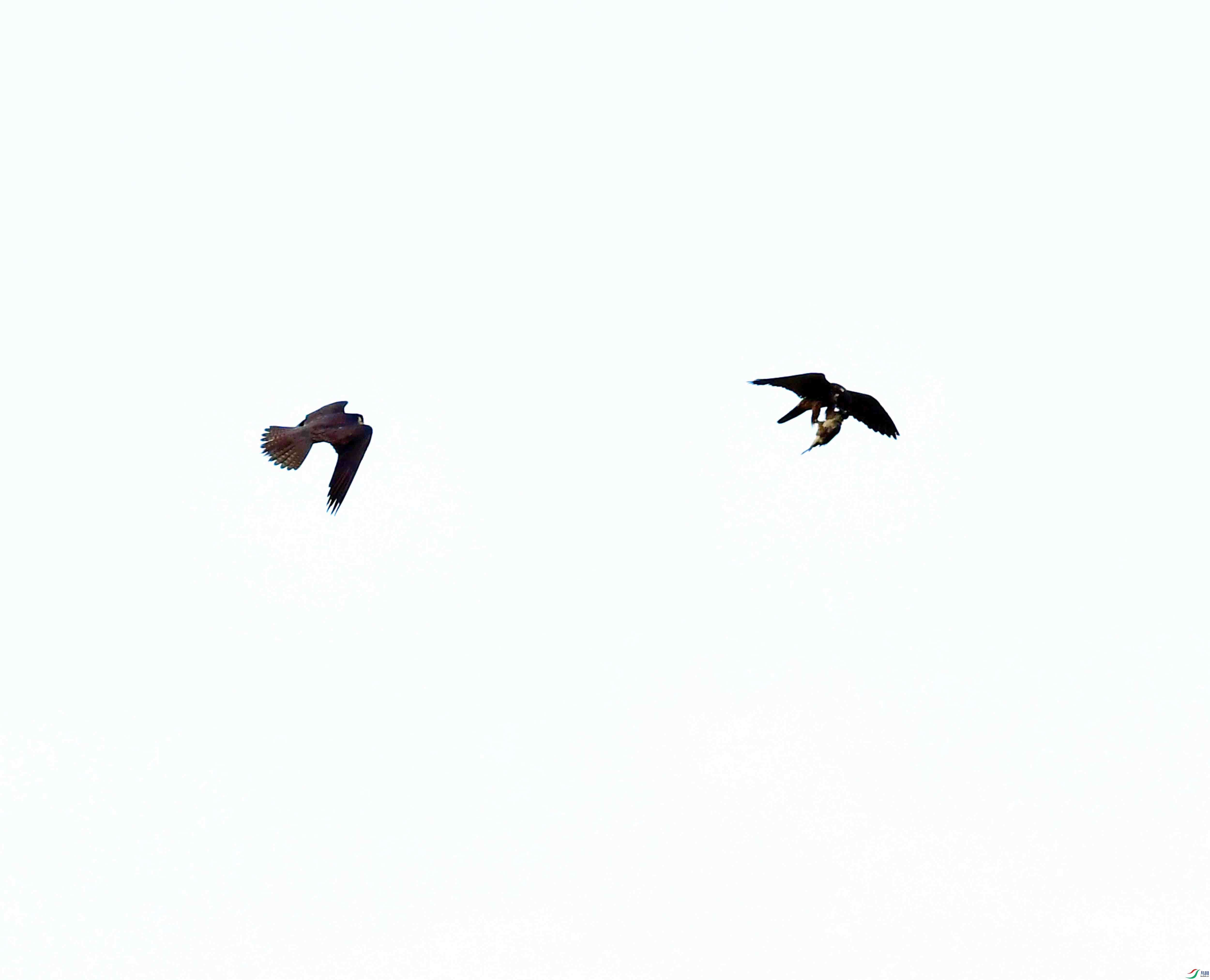 DSC_0869.JPG
