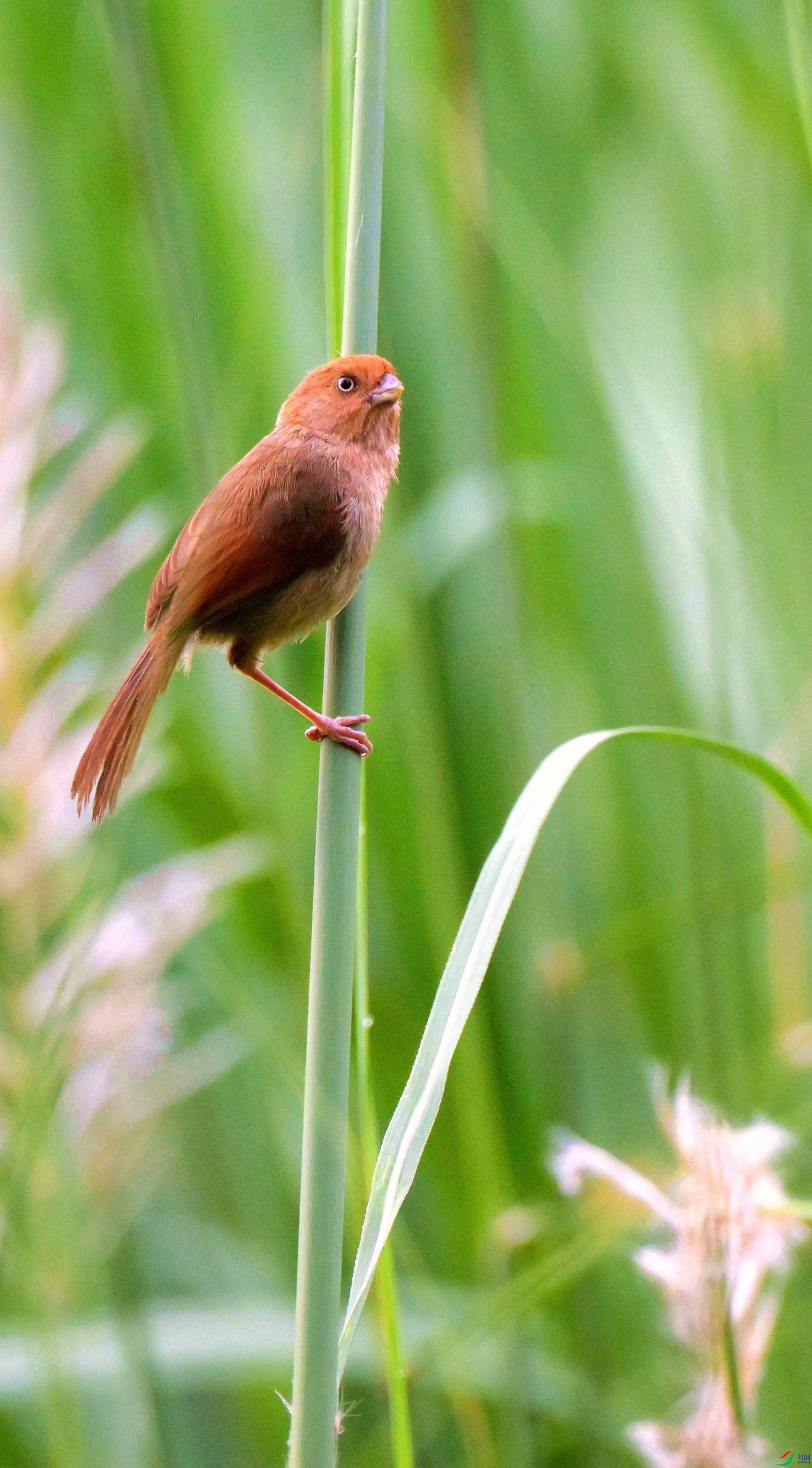DSC_6438.jpg
