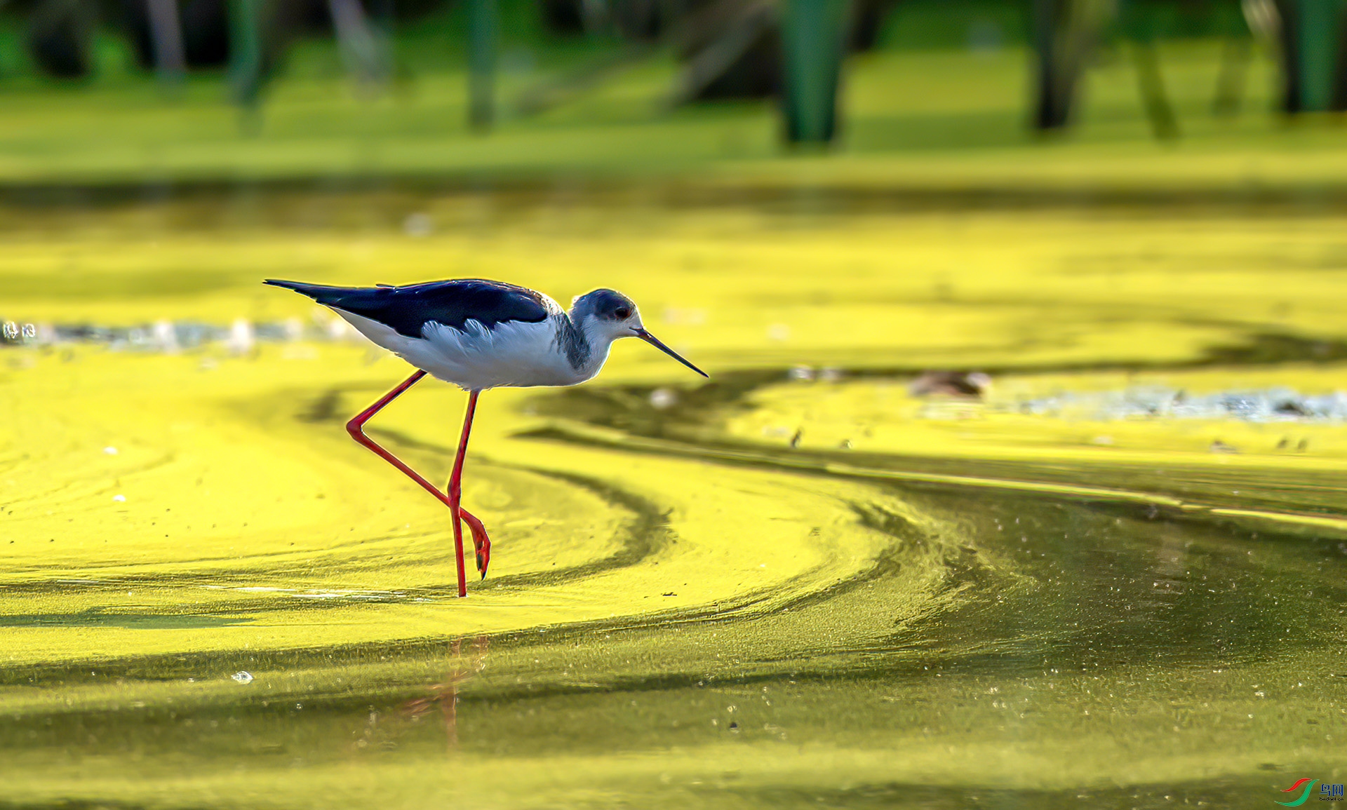 AS7I3171 ����-Sh----1+.jpg