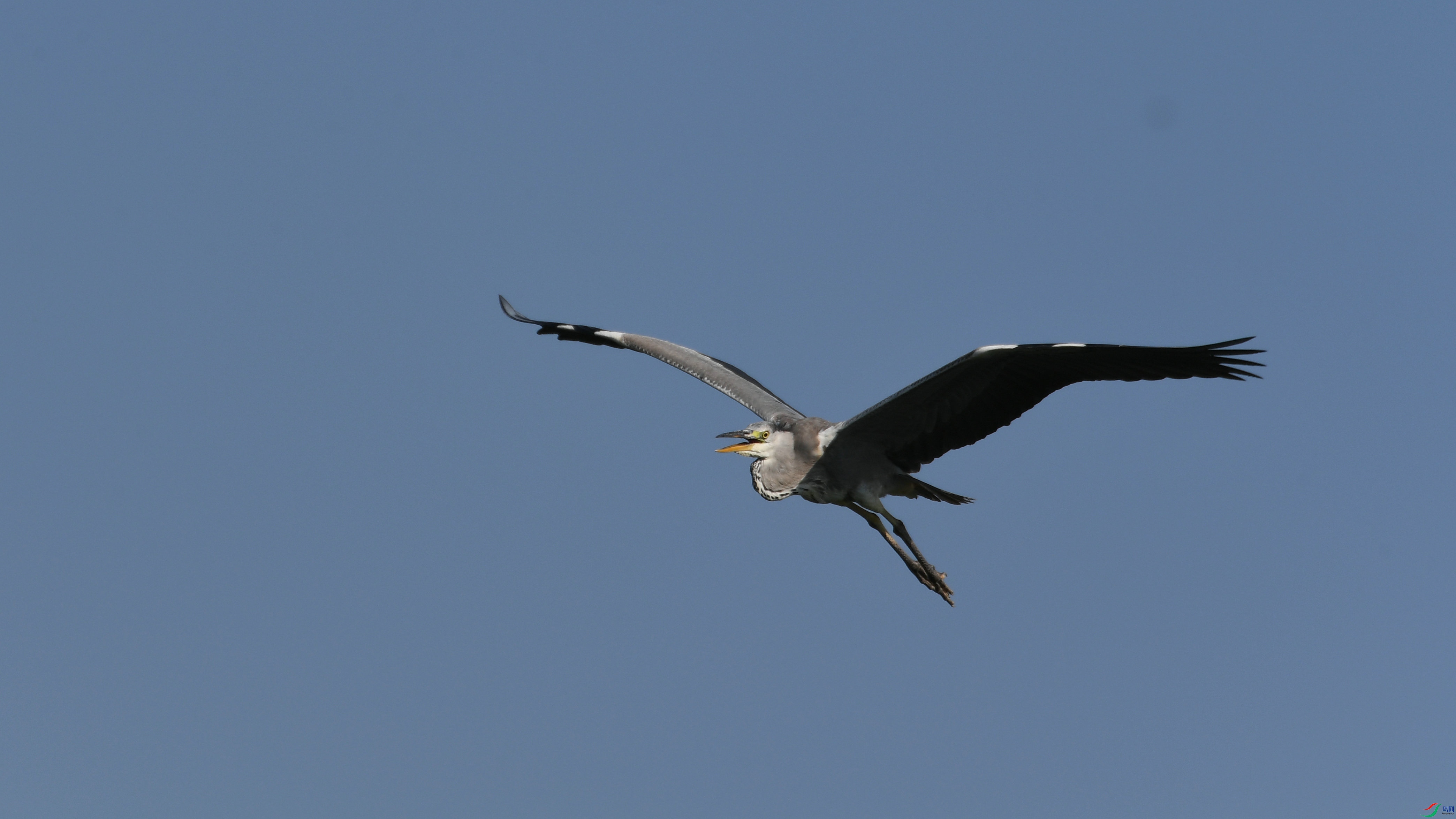 DSC_3988.JPG
