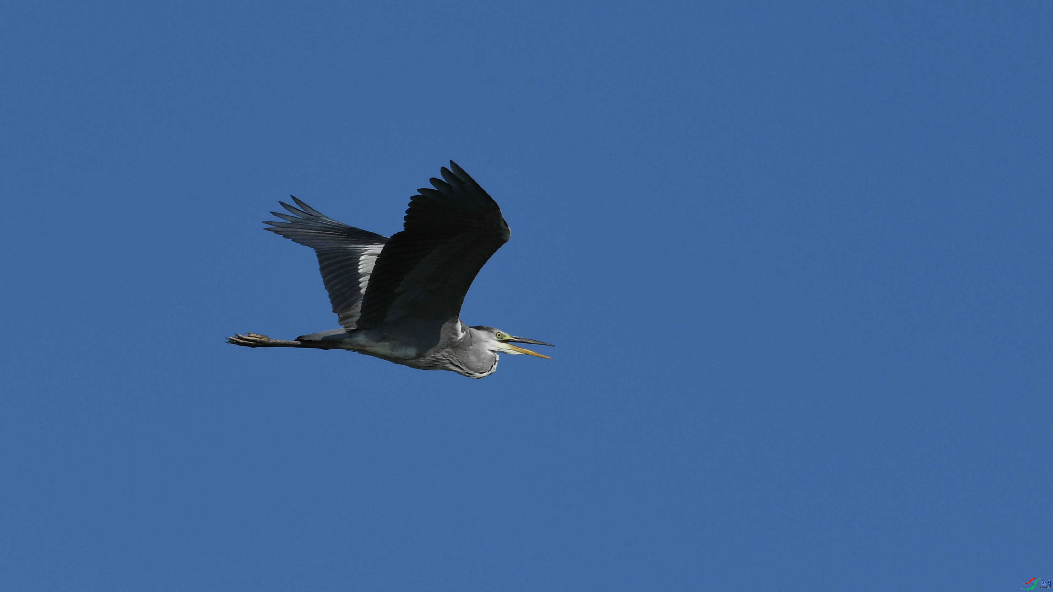 DSC_3995.JPG