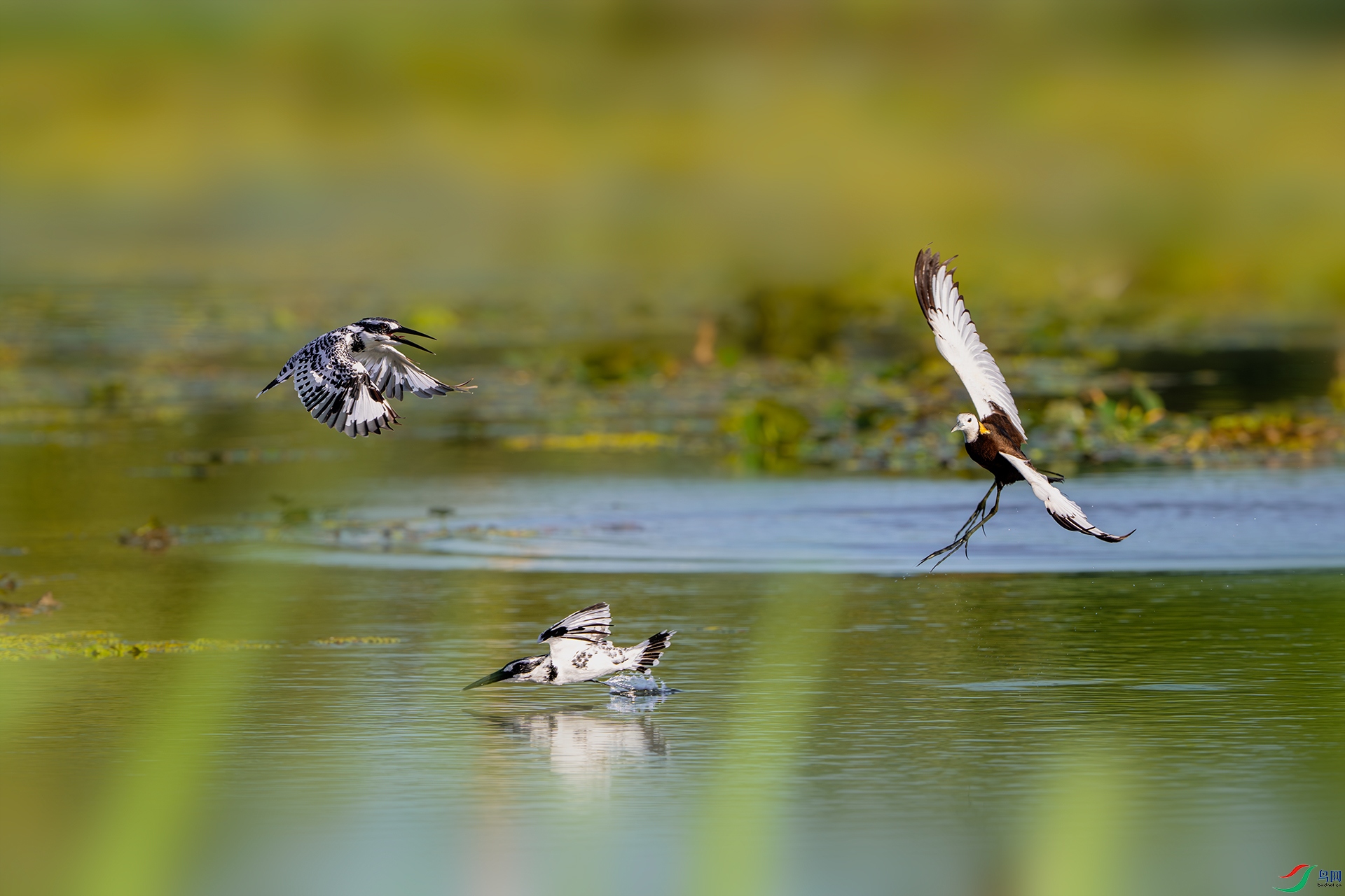 _DSC3548 ����С.jpg