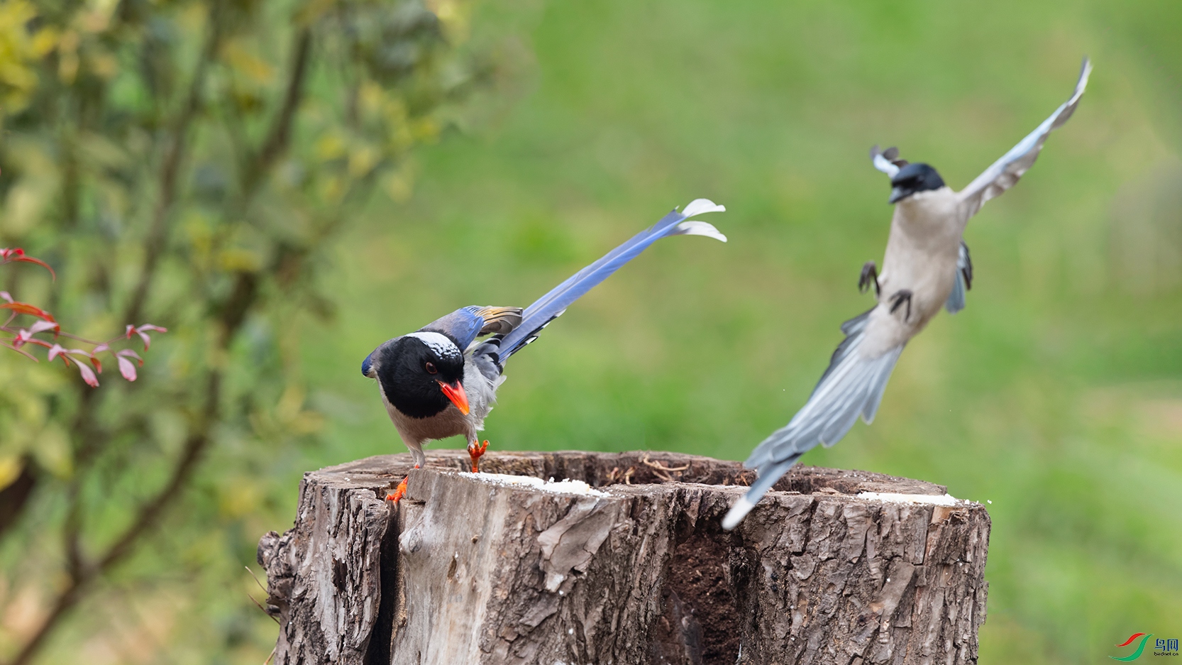 DSC_8438_DxOa.jpg