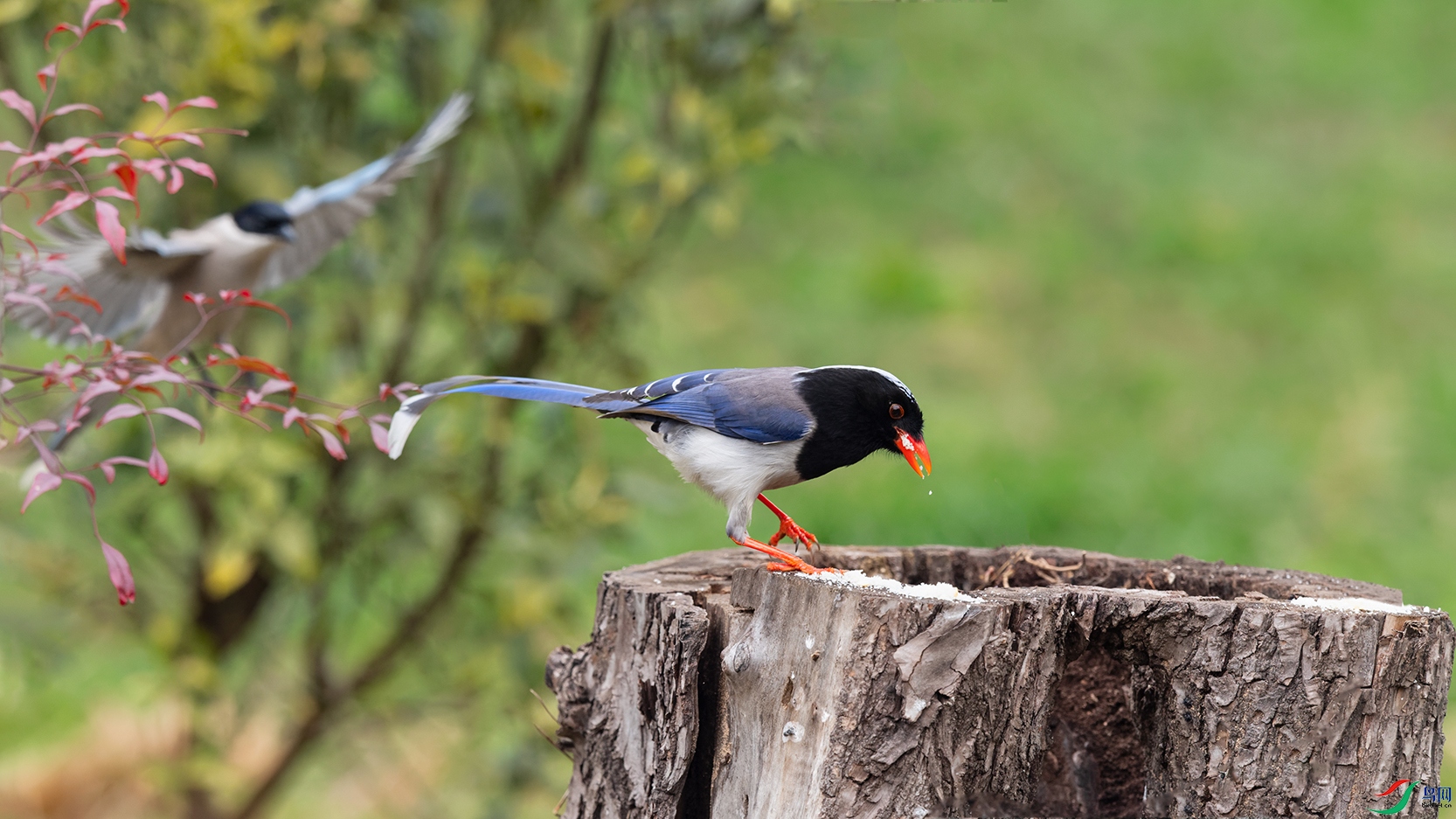 1DSC_8440_DxOa.jpg