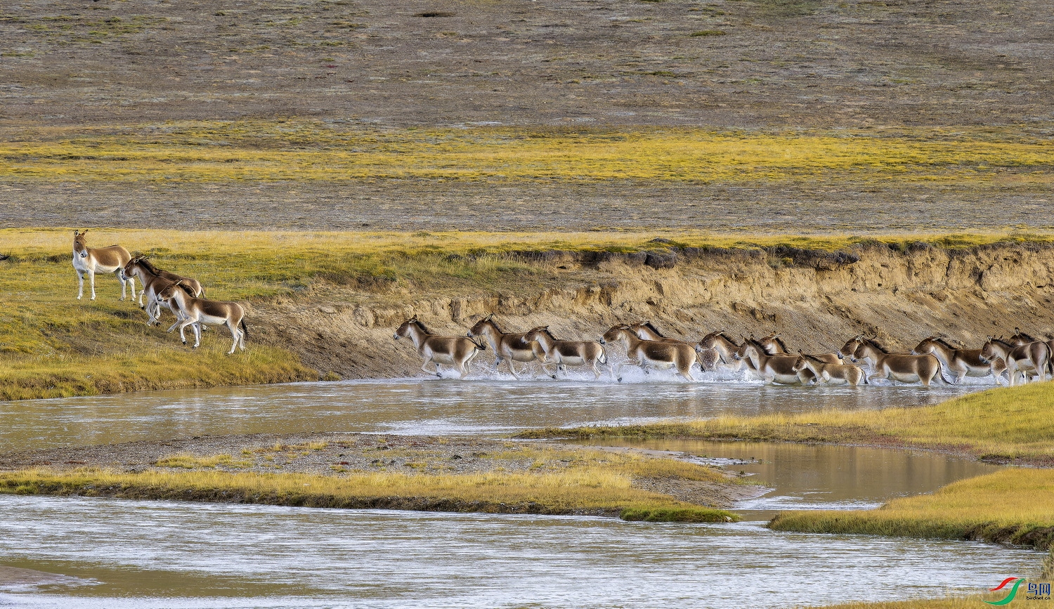 ��Ұ¿ (24)-01.jpg