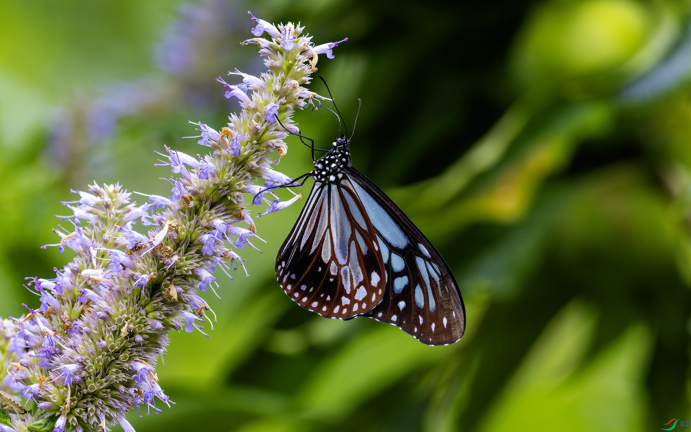 ���ߵ� (2)-01.jpg