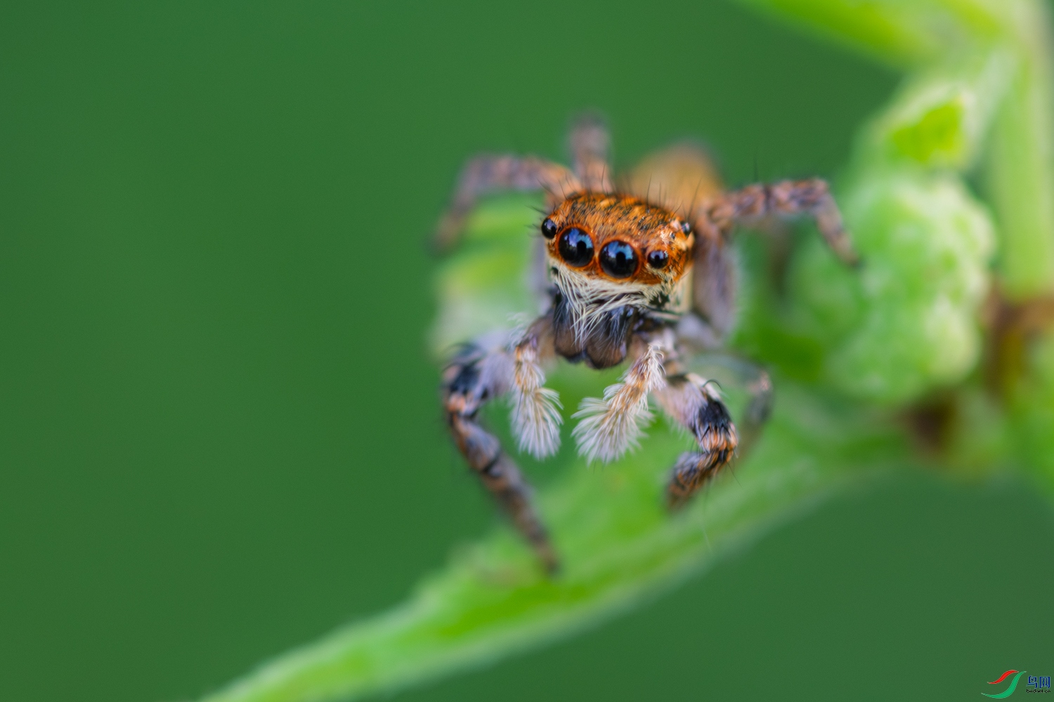 DSC_6776_1.JPG