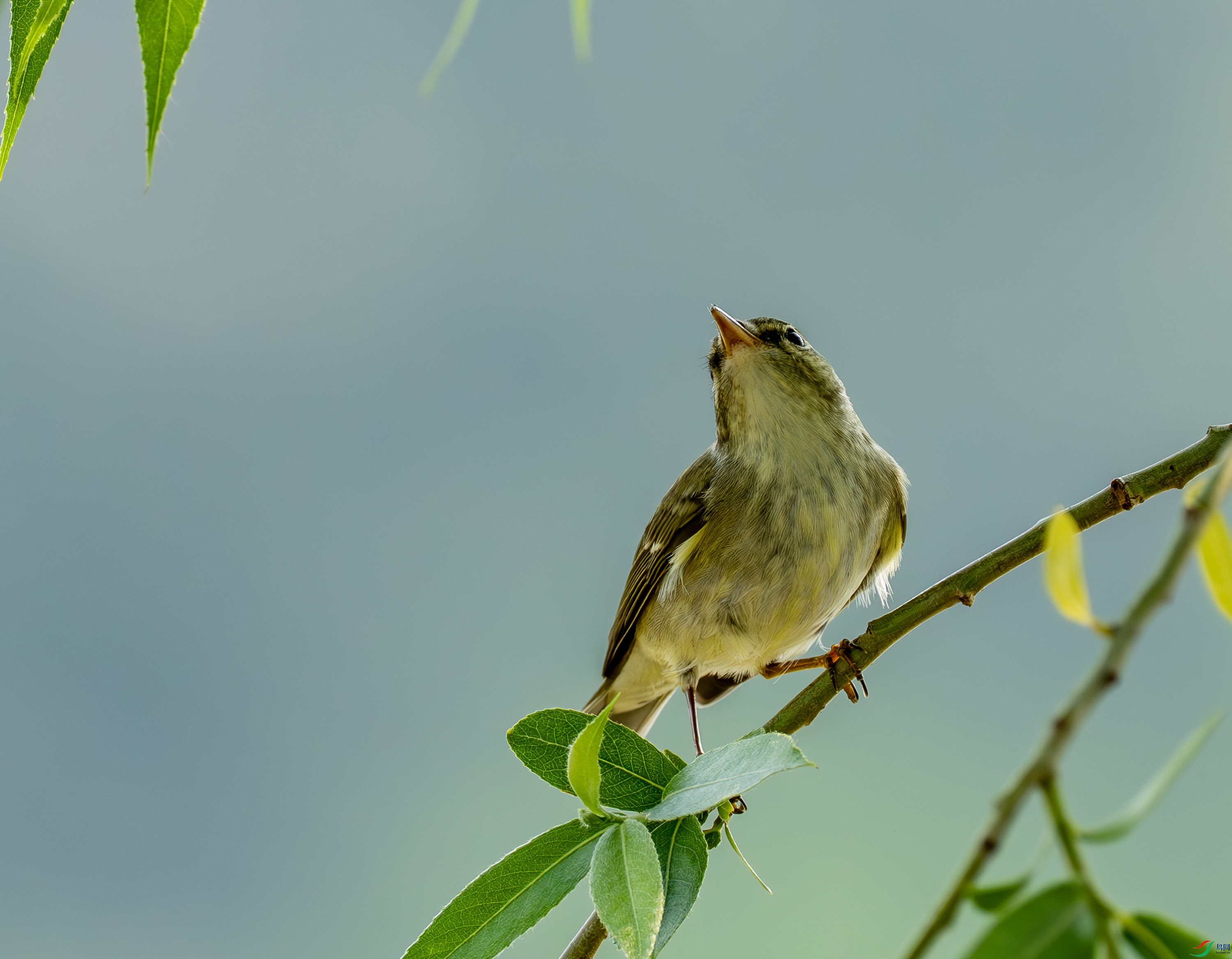 ������ݺ-10.jpg