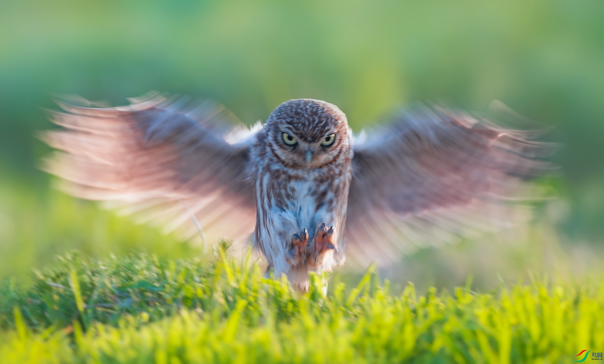 ���Ƹ�С�^