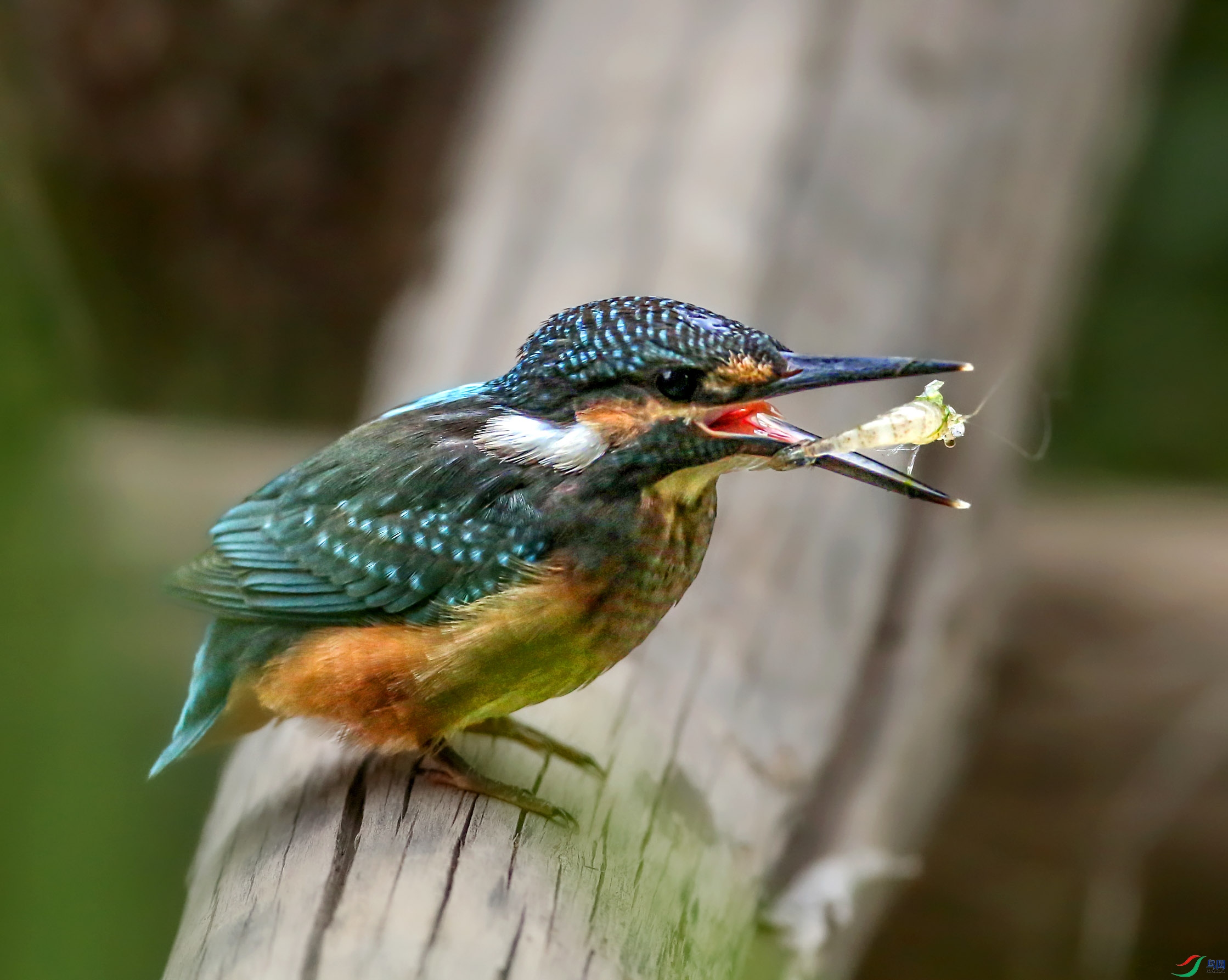 673A0508 ����.jpg