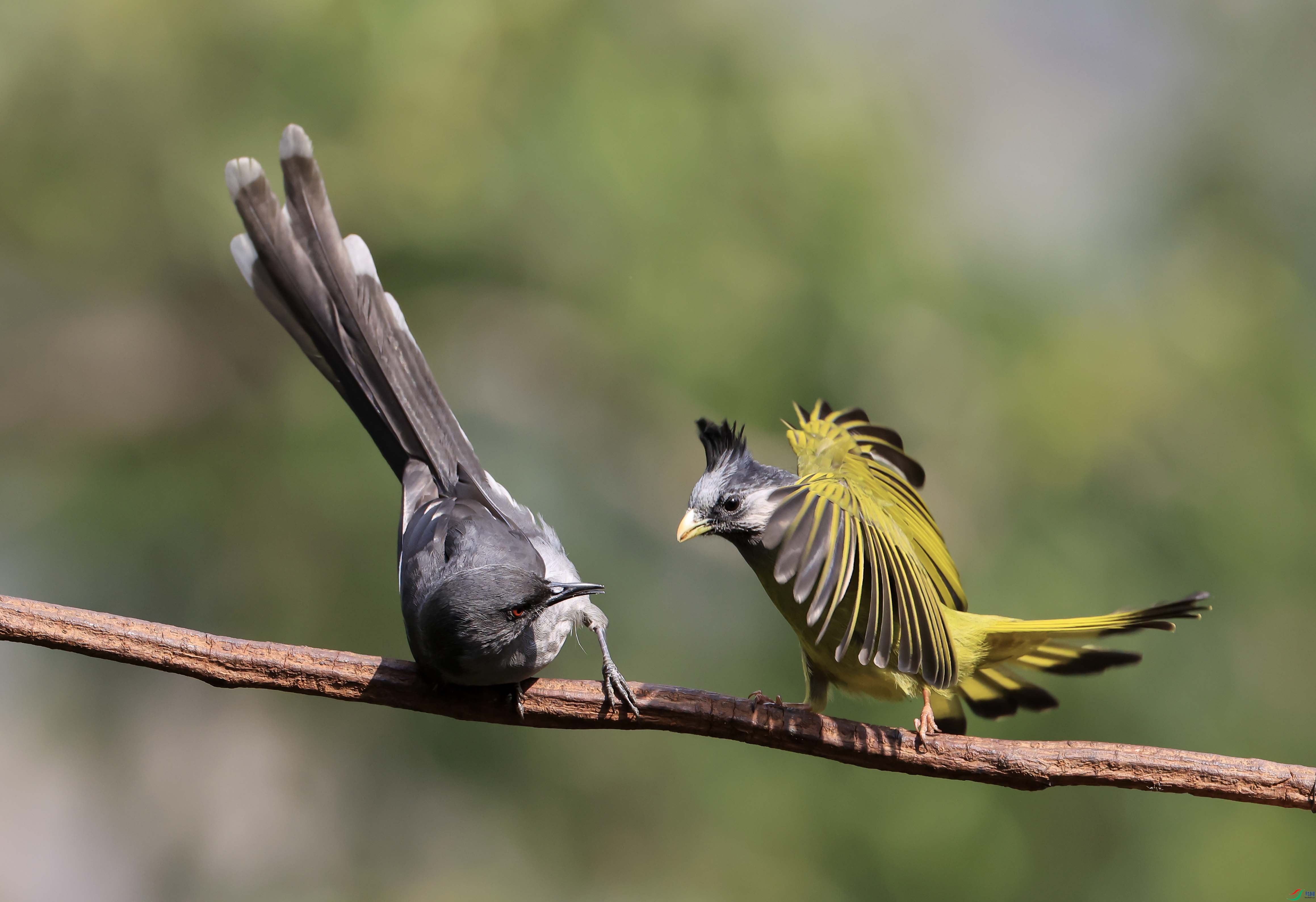 1-xt4L2A0192 ����.jpg