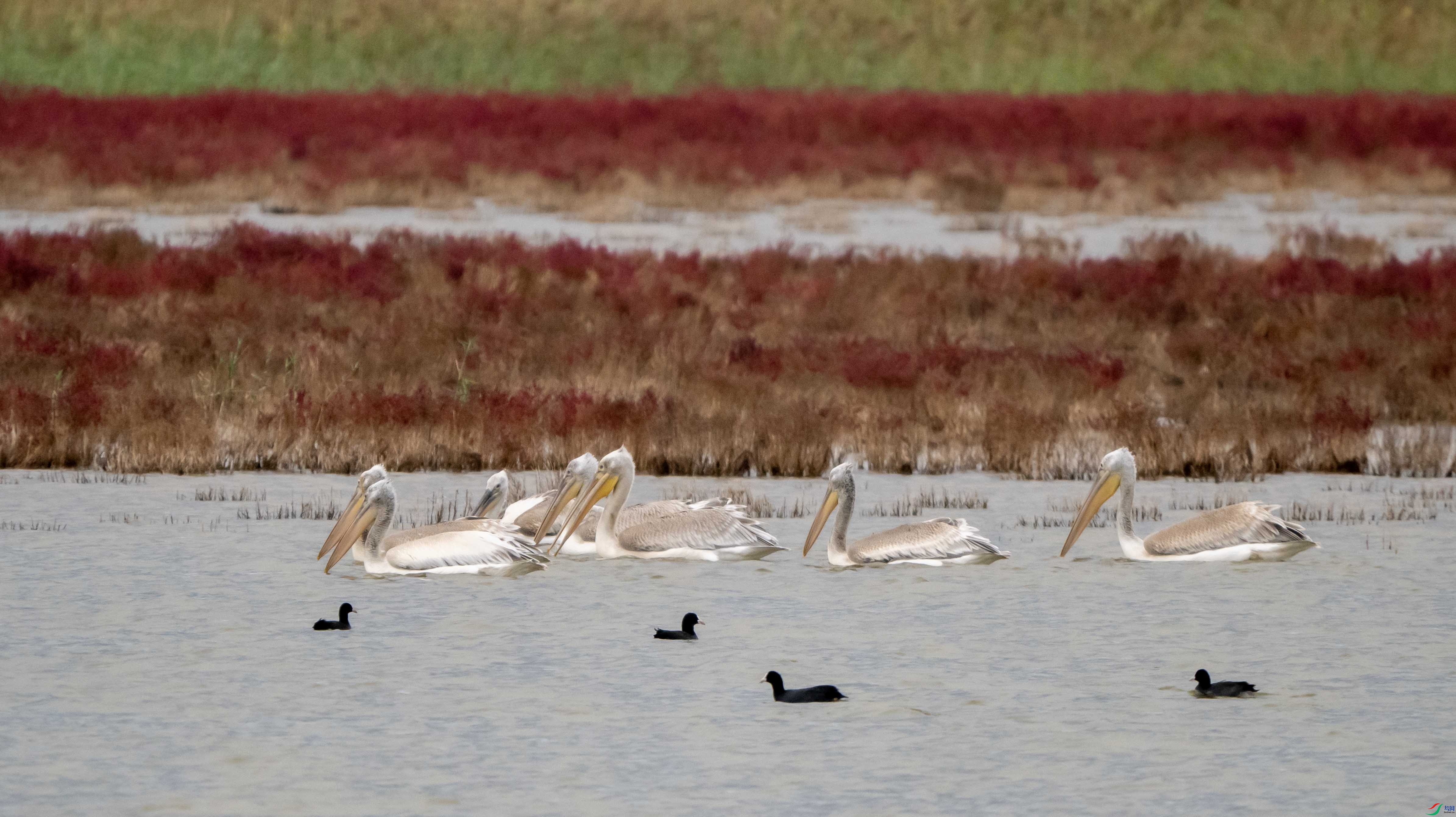 1-xtPA030595 ��-�ι����̺.jpg