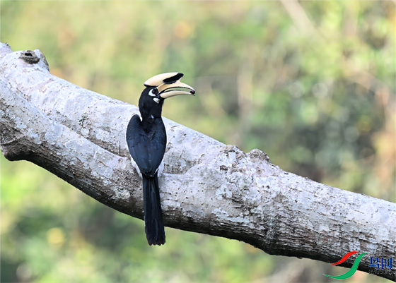 DSC_7390(1)(1)_����.png
