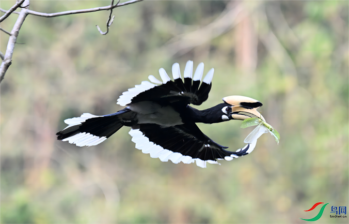 DSC_7248(1)(1)_����.png