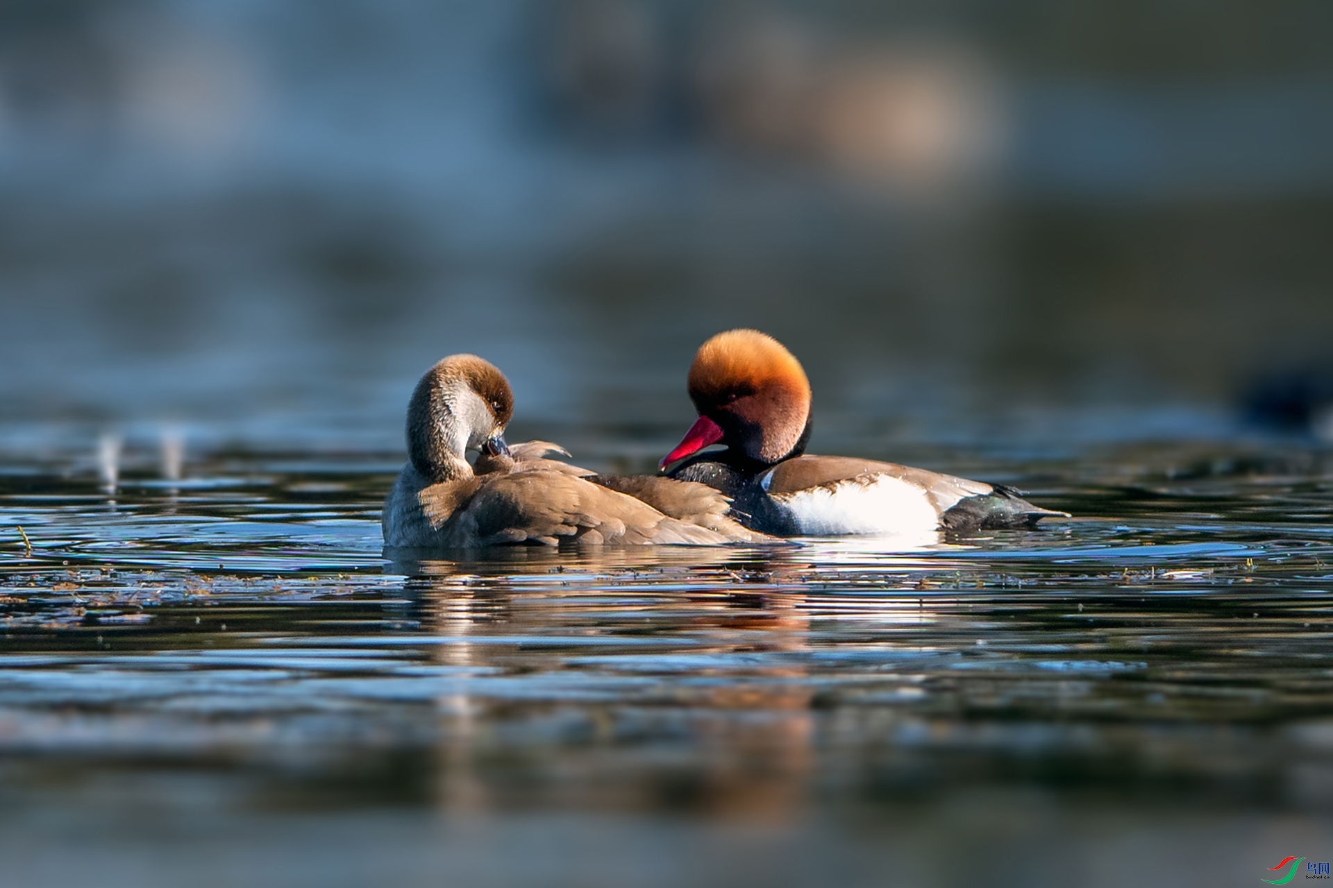 ��_AUU7509������ǱѼ(23.1.5)-1.jpg