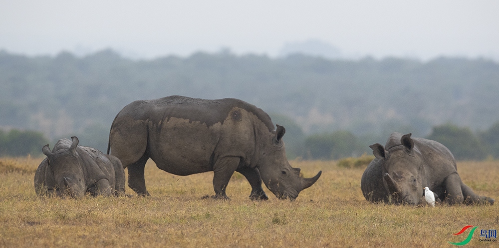 ����Ϭţ (21).jpg