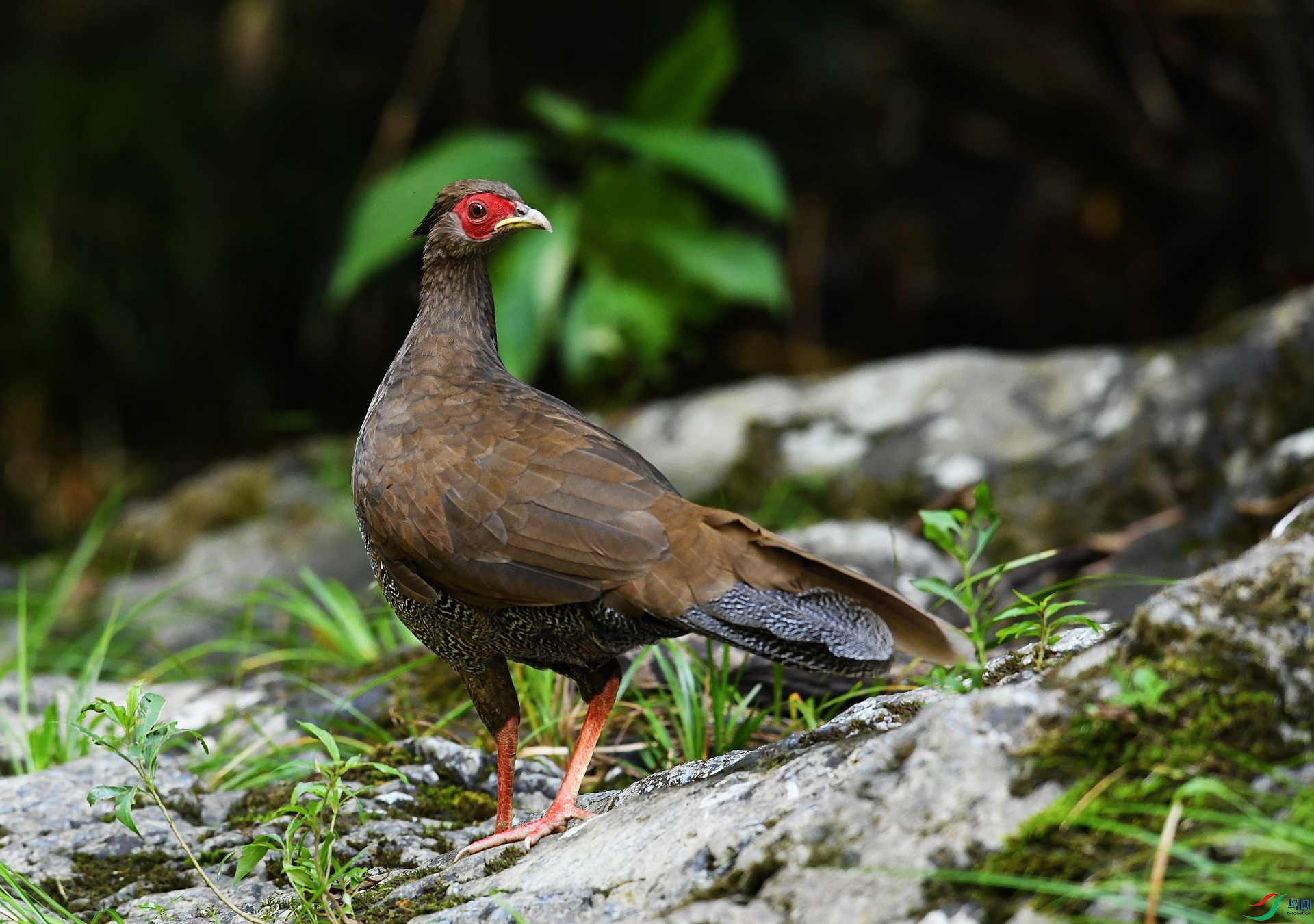DSC_9909.jpg