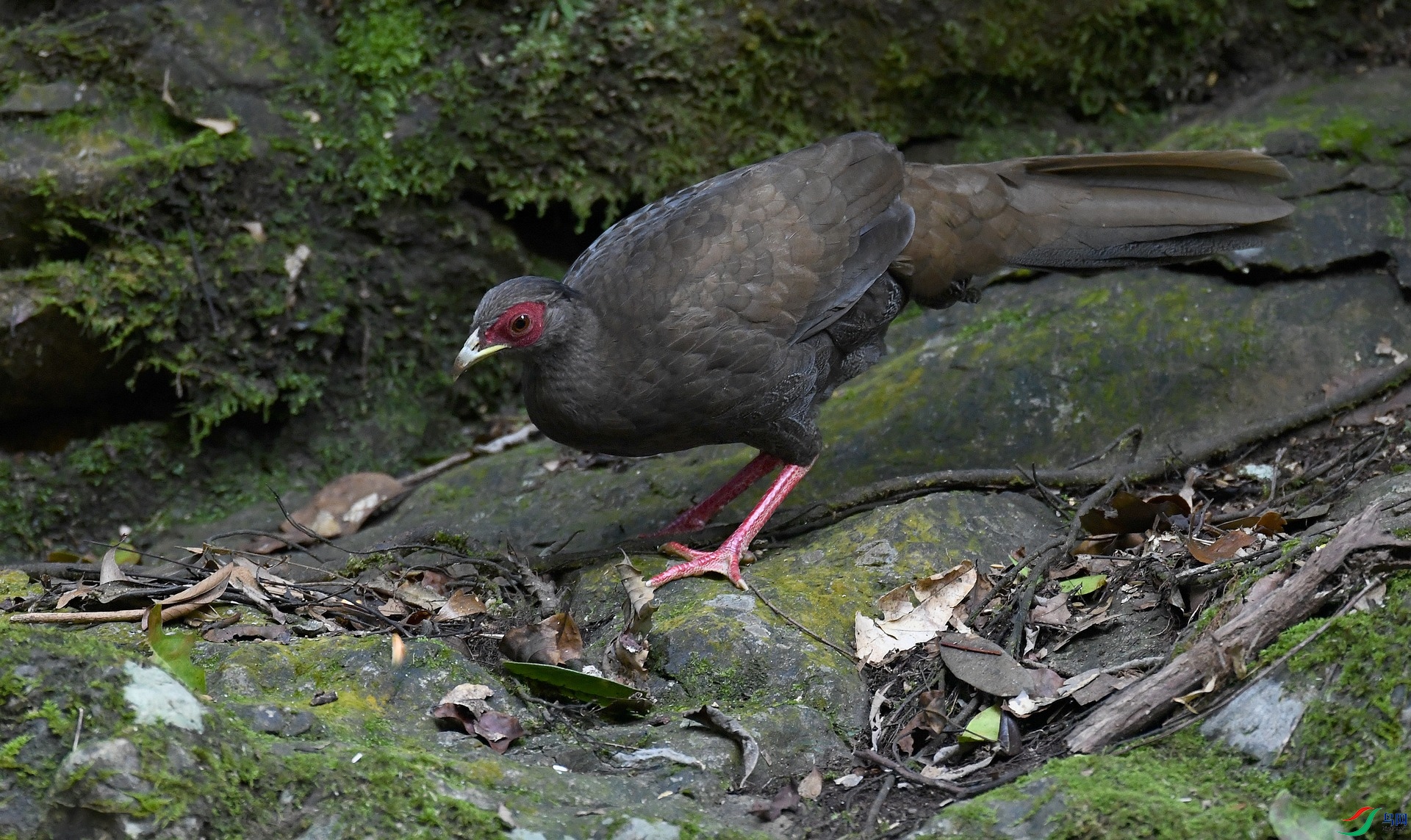 DSC_9827.jpg