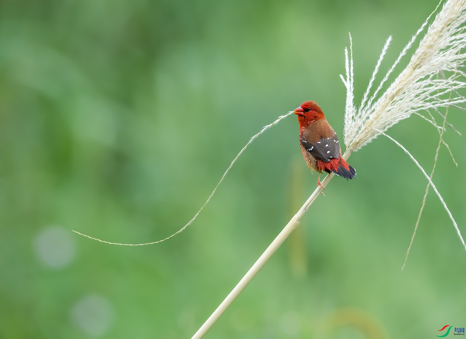 DSC_6576 ���� 2.jpg