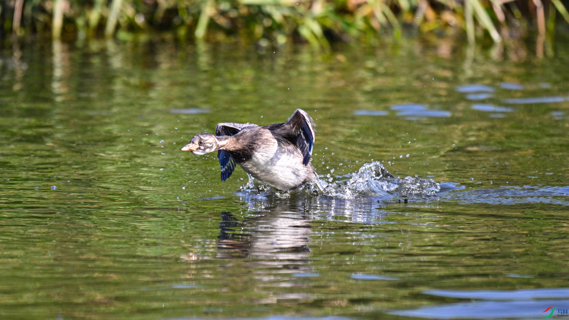 DSC_4158_��ͼ��_��ͼ��.jpg