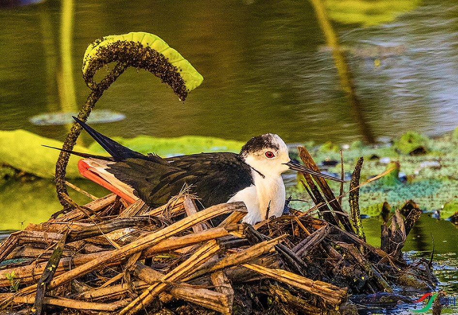 ��ô��~  ��ô��.jpg