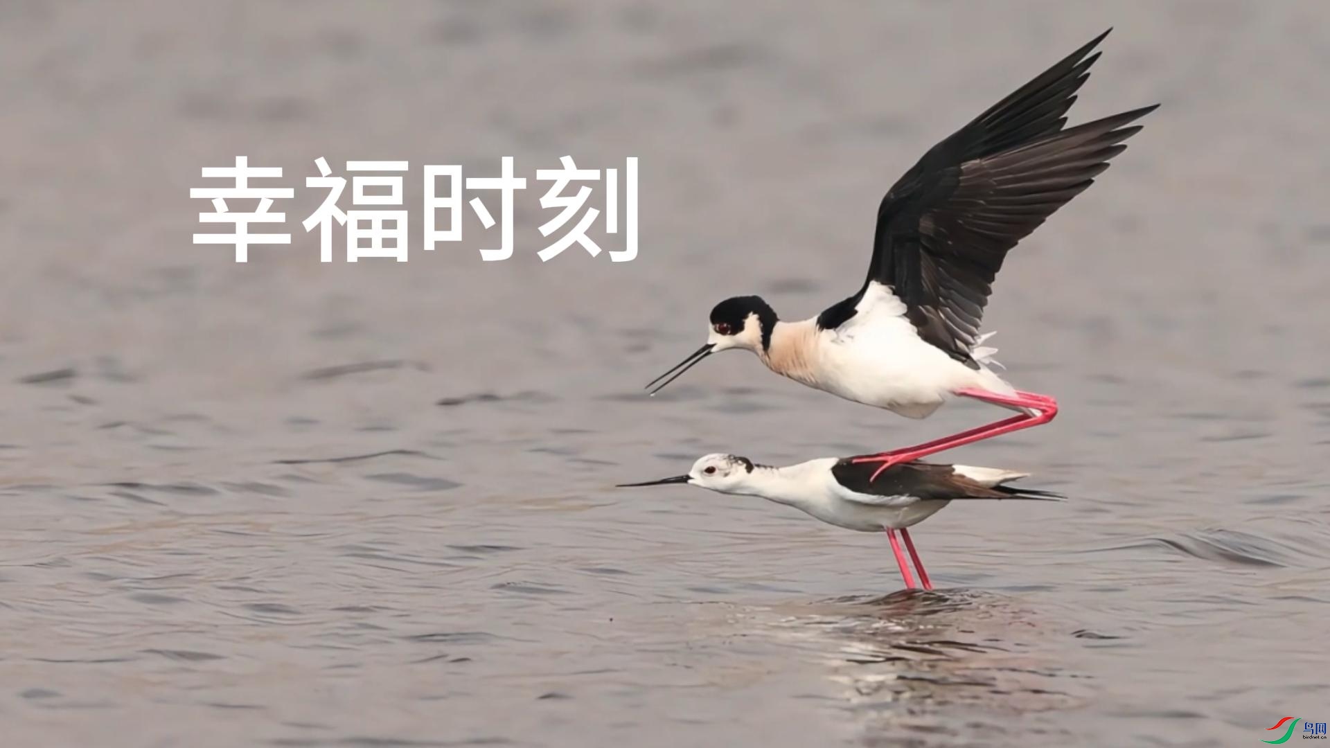 10��4�� (1)-����.jpg