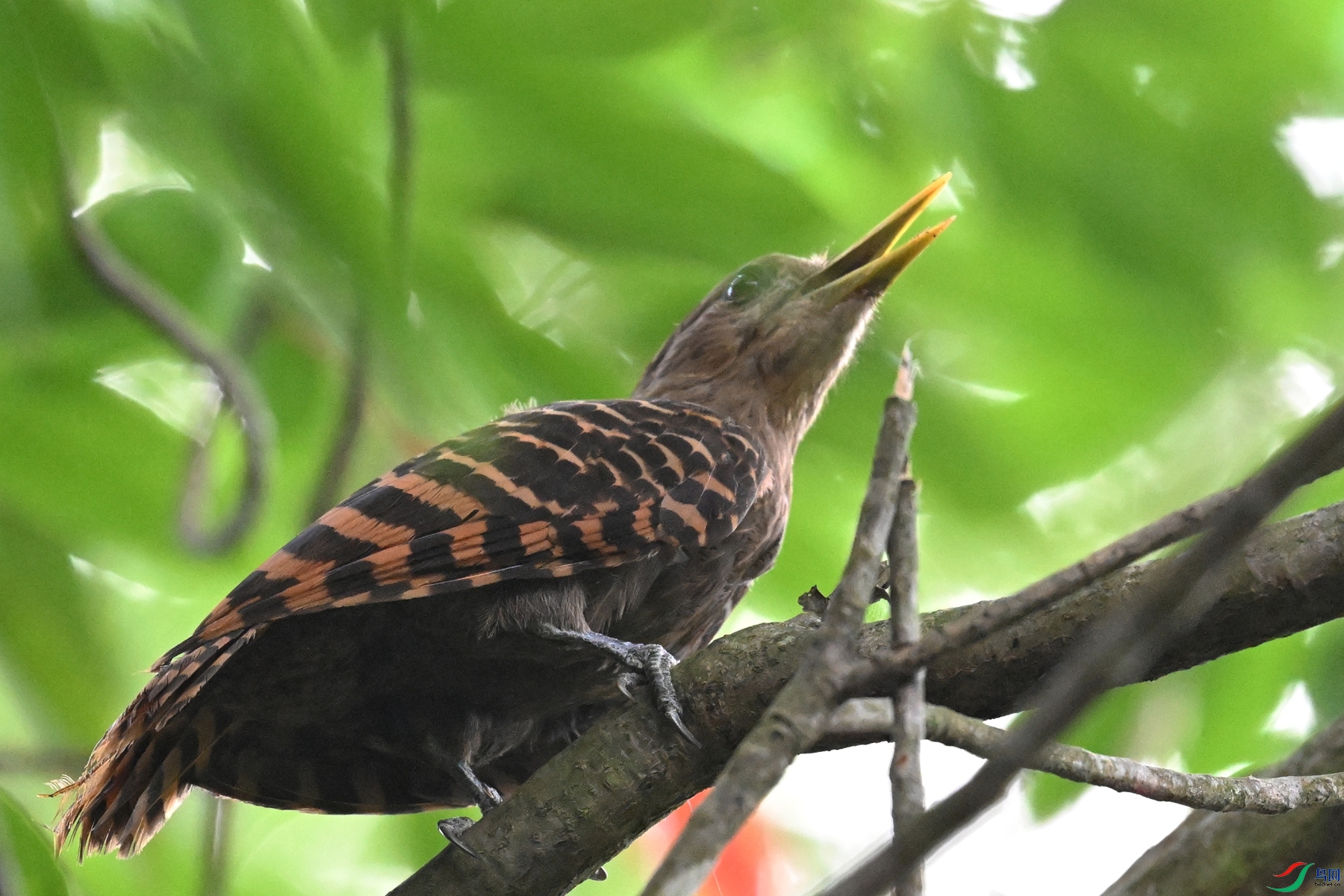 DSC_9304.JPG