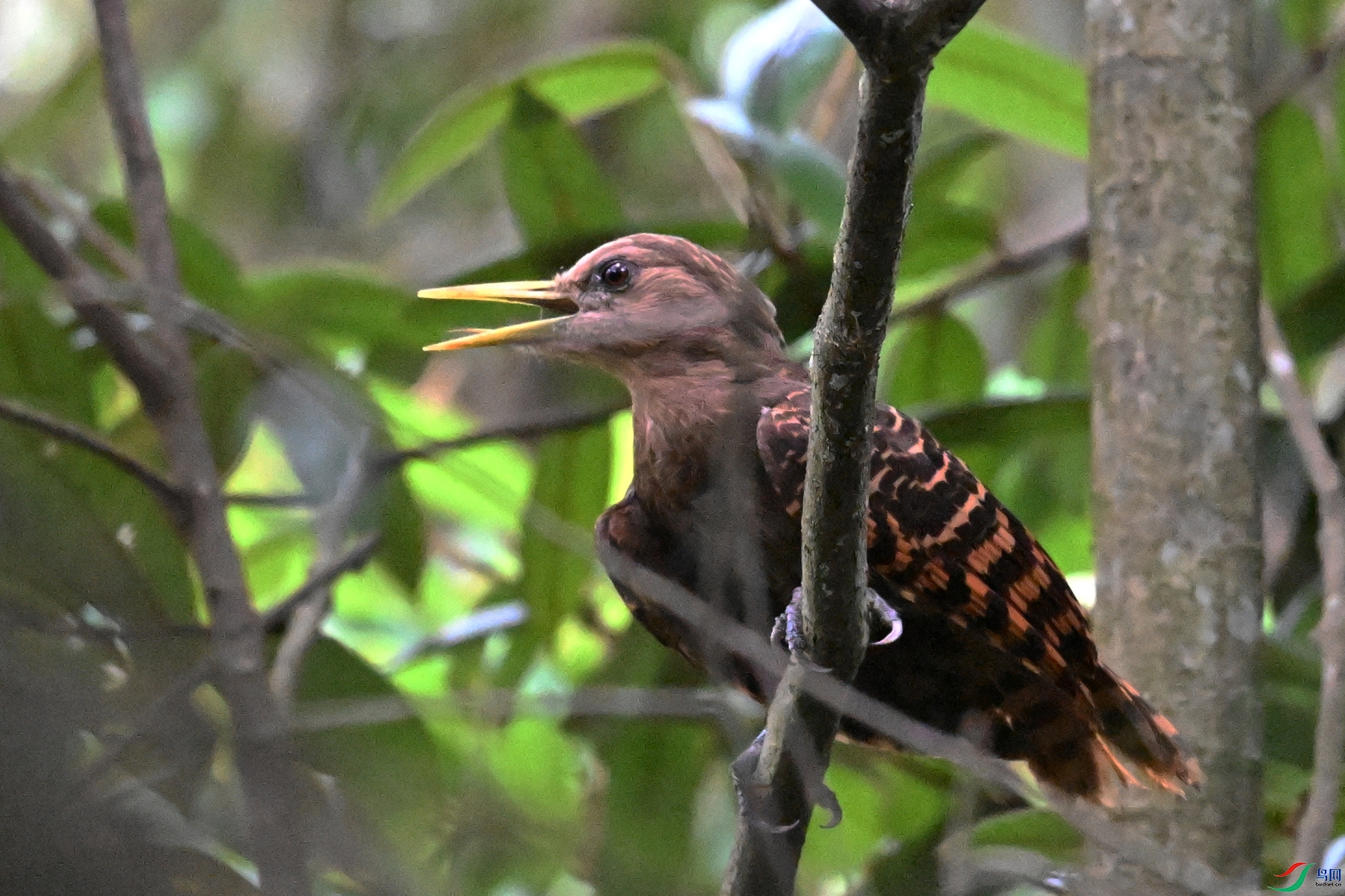 DSC_9316.JPG