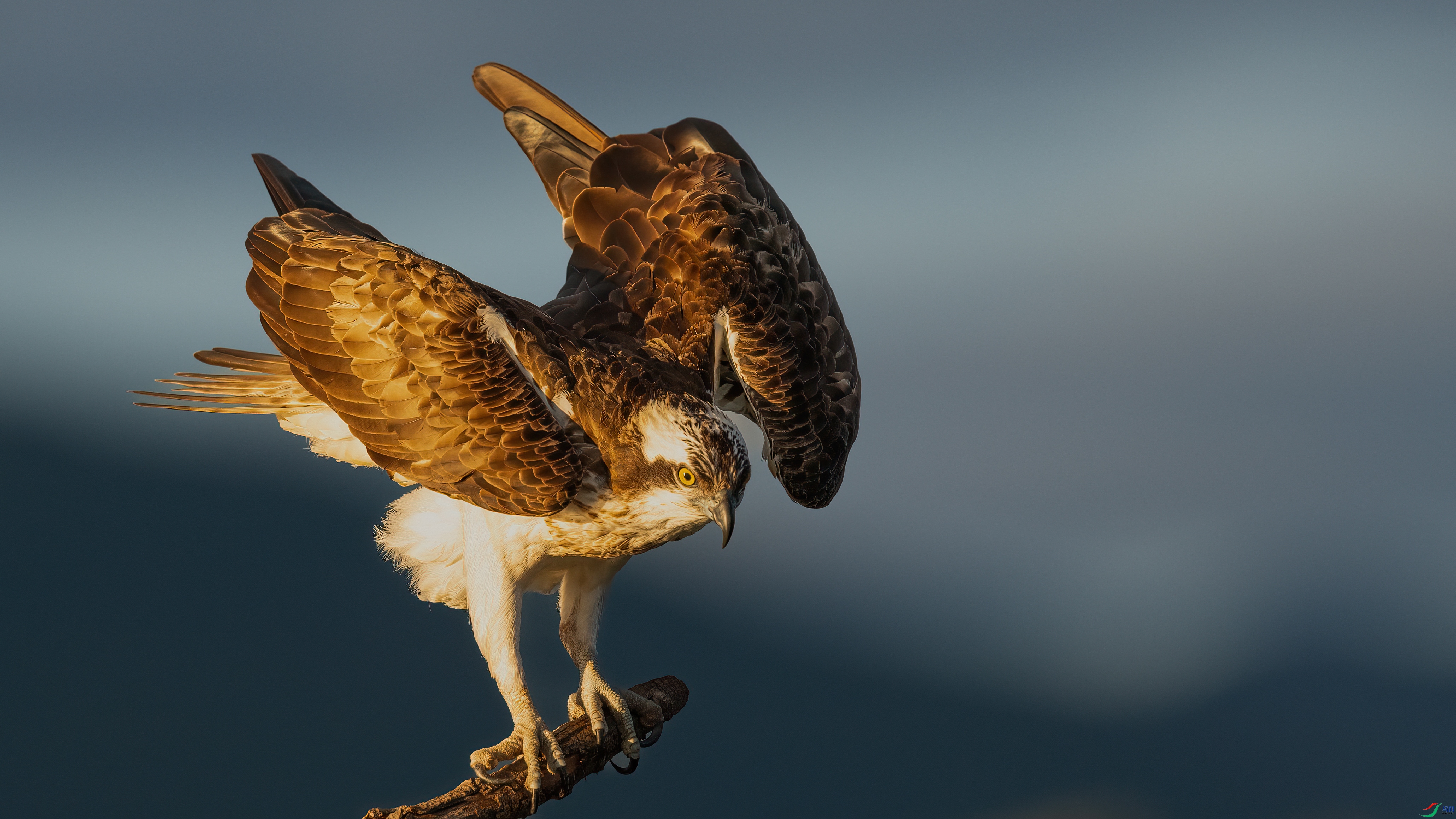 048A9322 ����.jpg