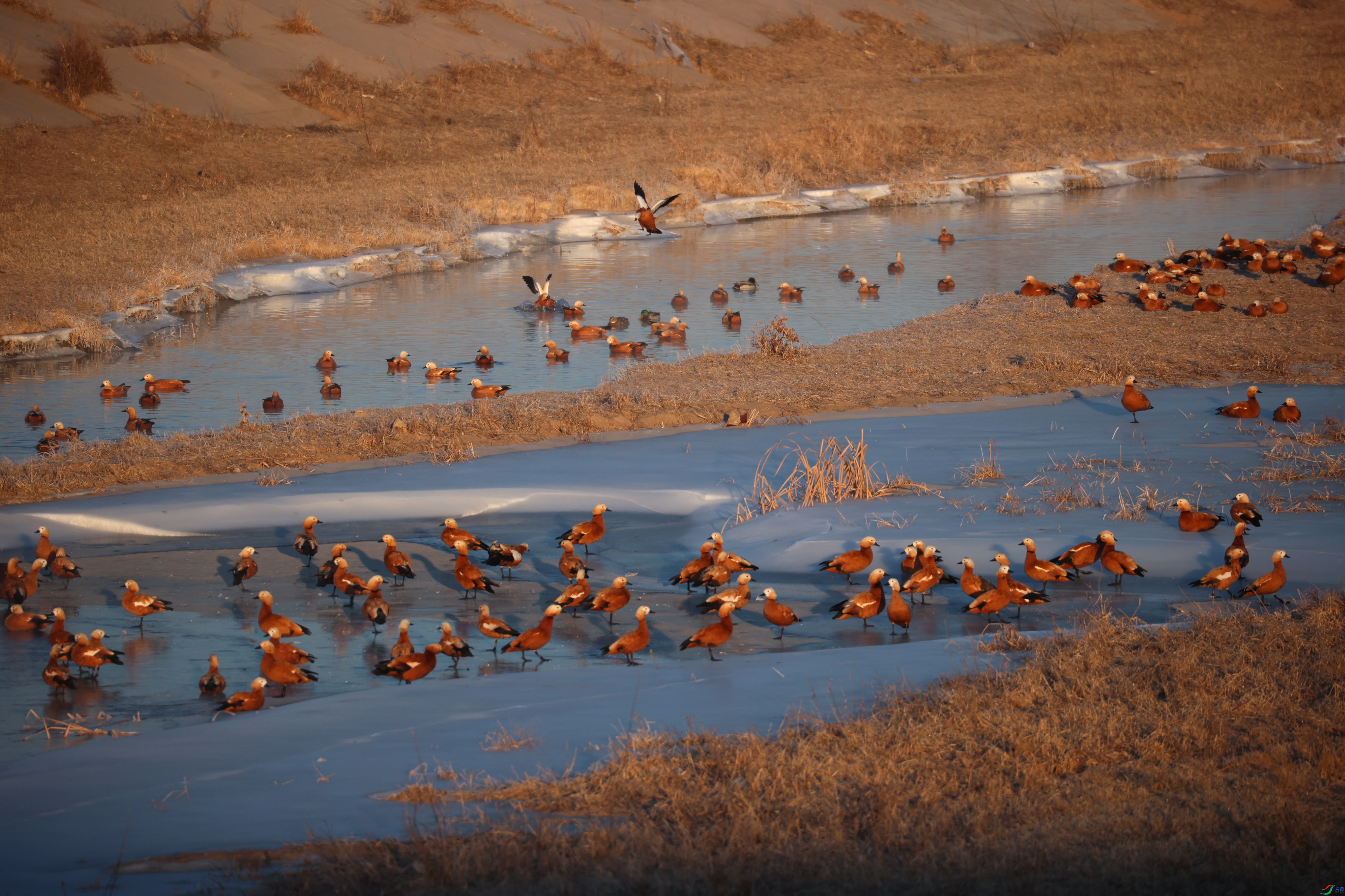 8722��ש����