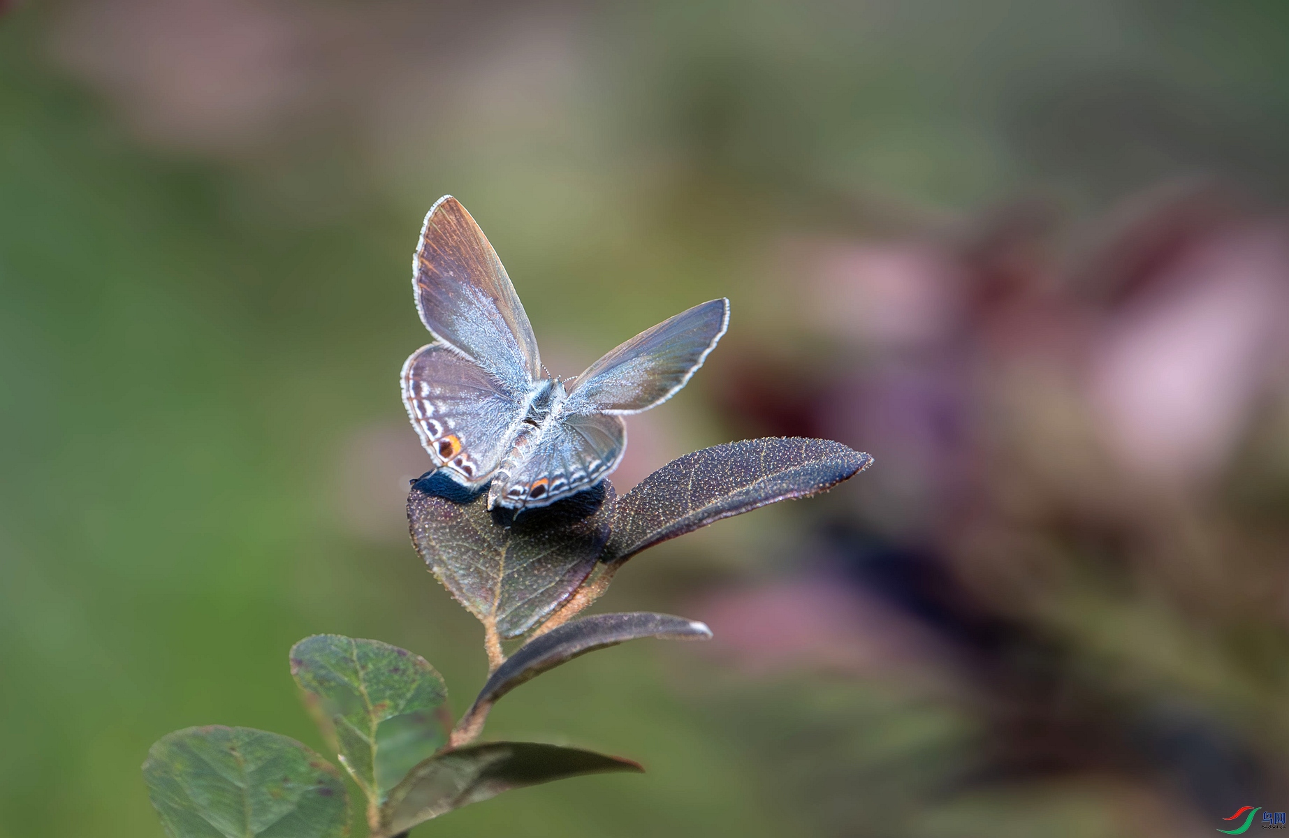 DSC_5228_����.jpg