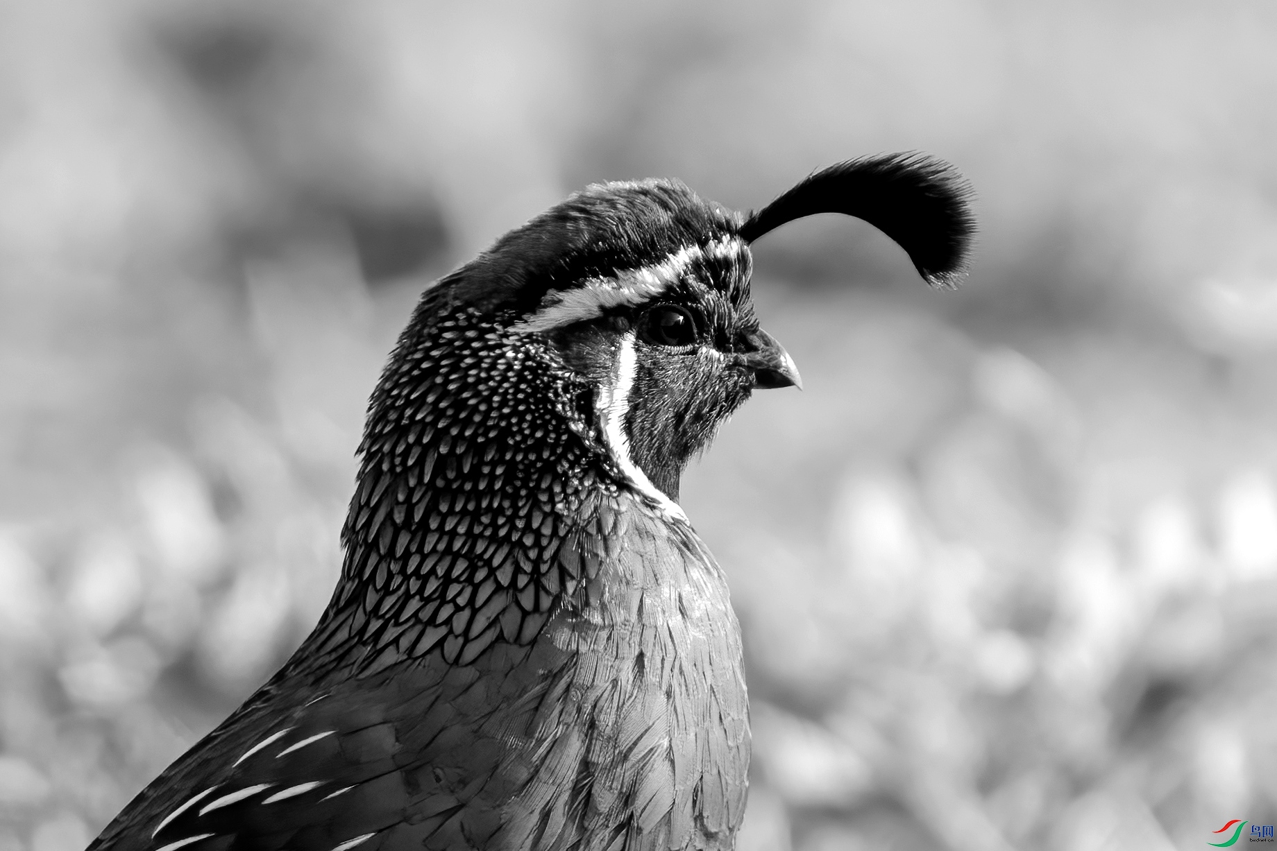 DSC01623 ����_����.jpg