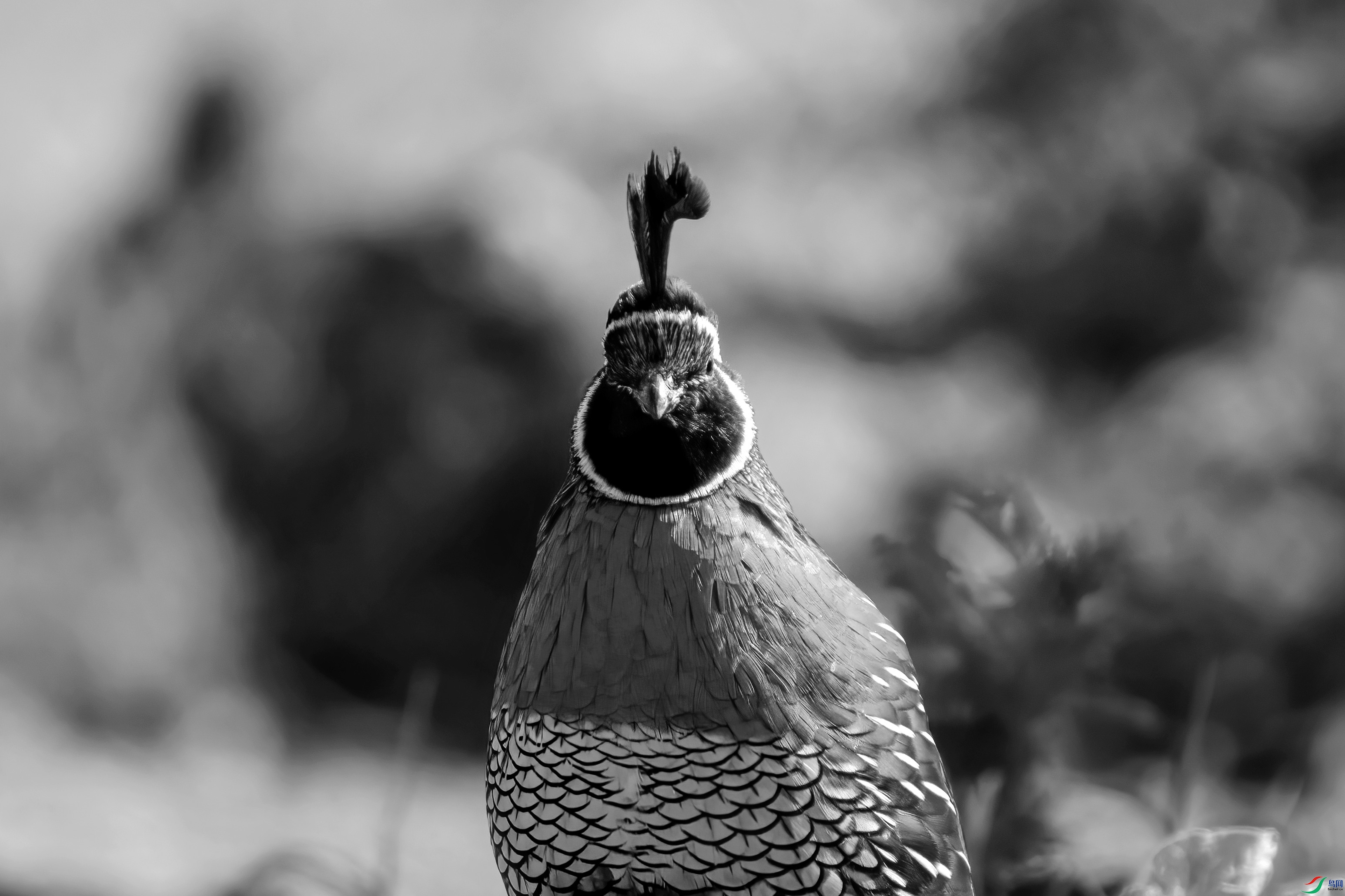 DSC02944 ����_����.jpg