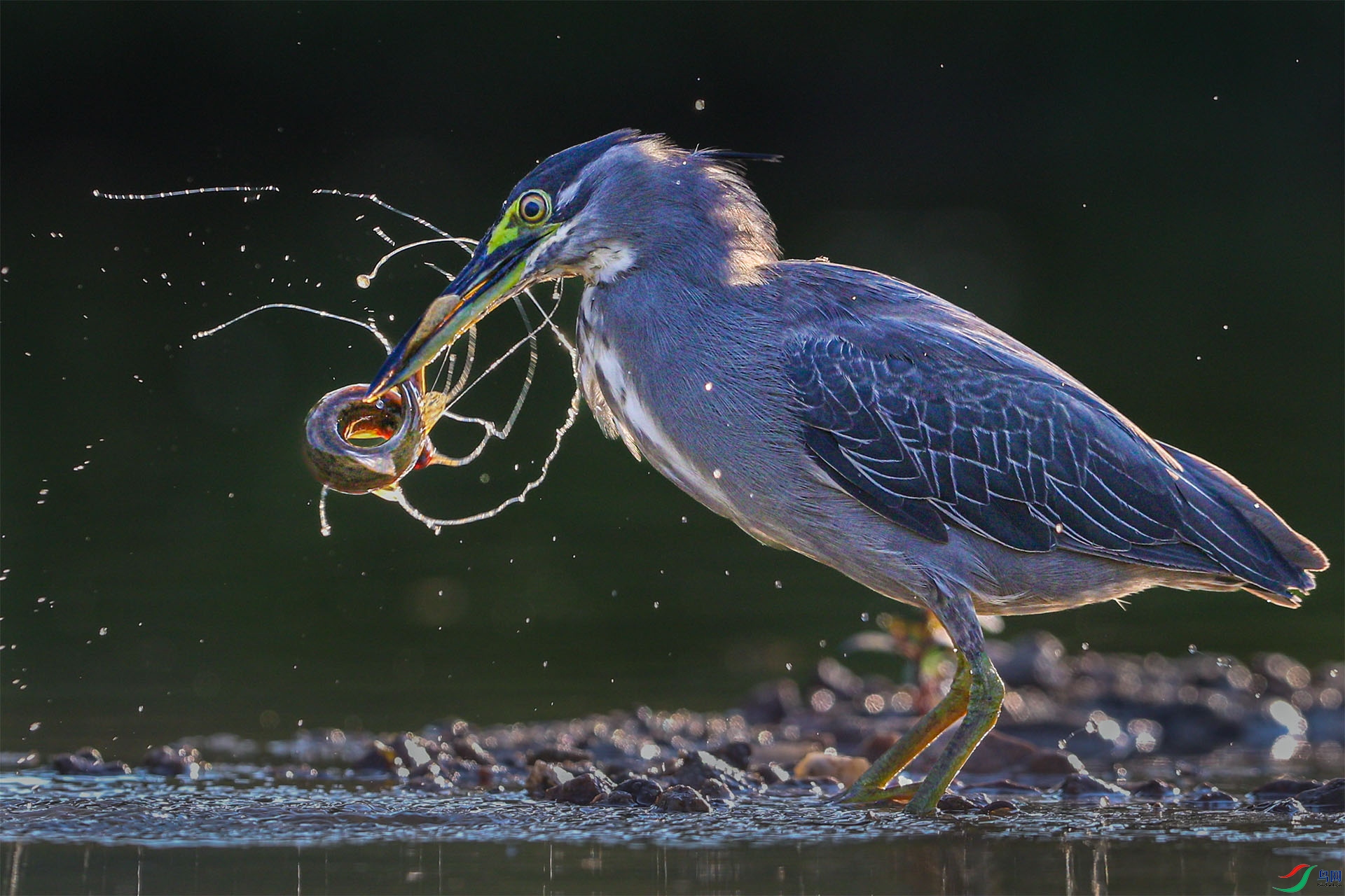 8��3�� (5)-1-1.jpg