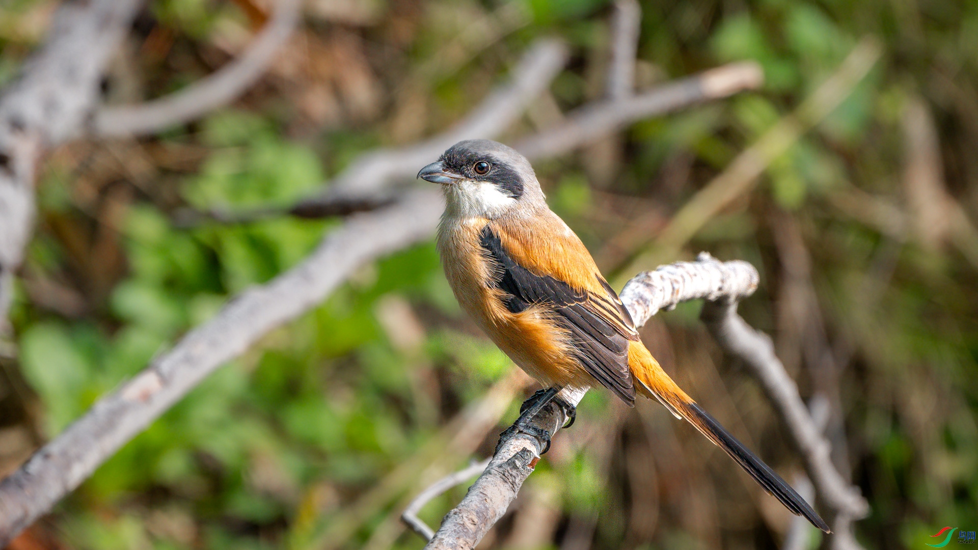 DSC_3483.jpg