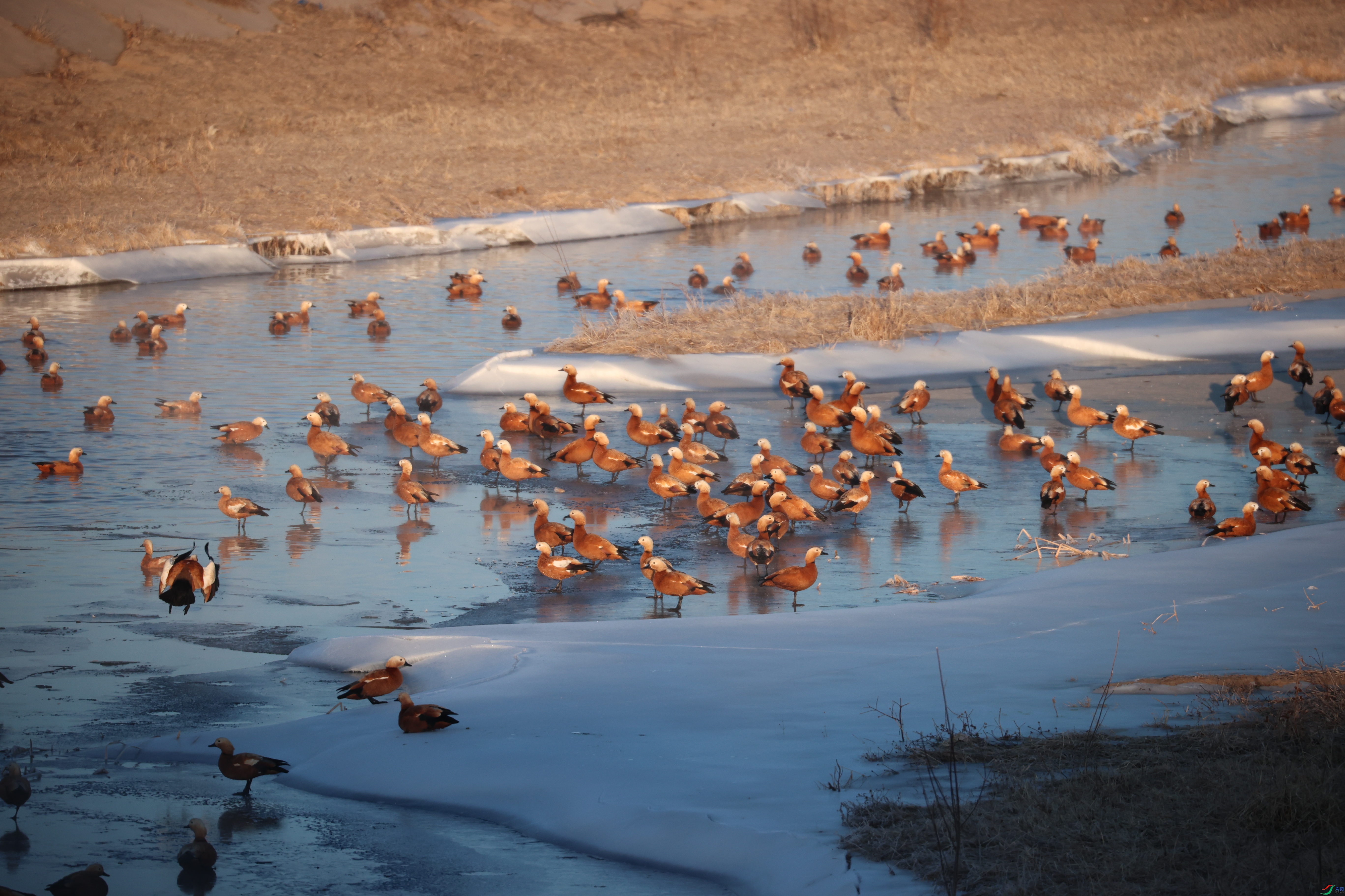 8815����ڿ���