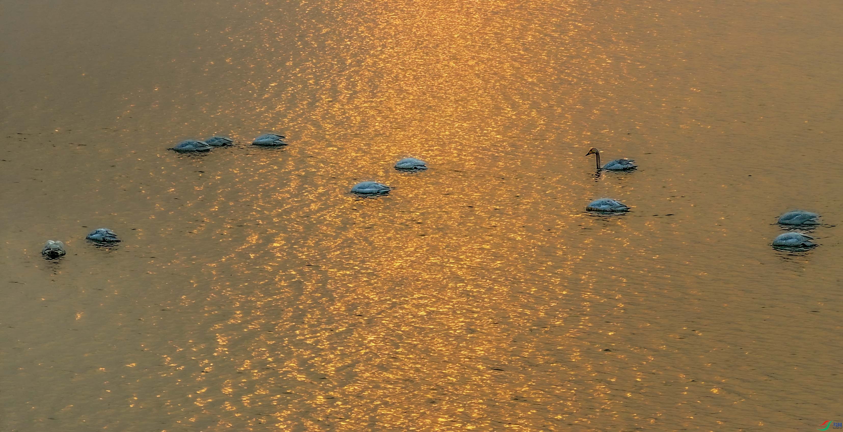 DJI_20250308154136_0927_D.JPG