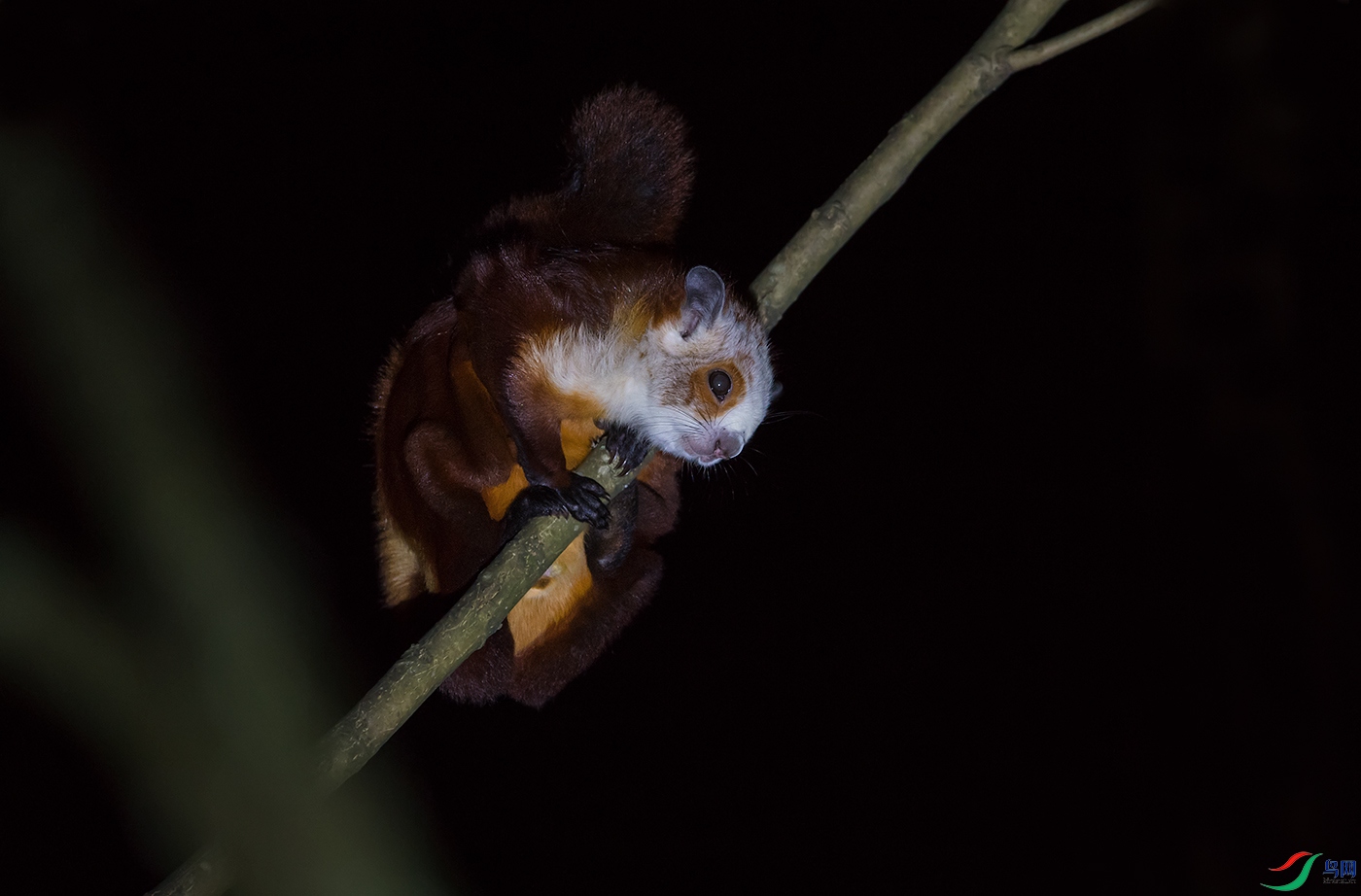 DSC_91201.jpg