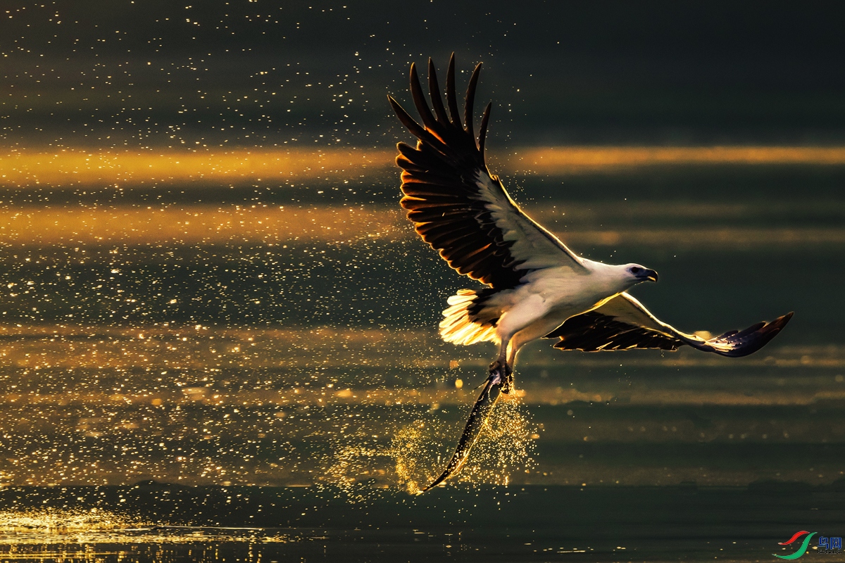 ��β����----�����岨������