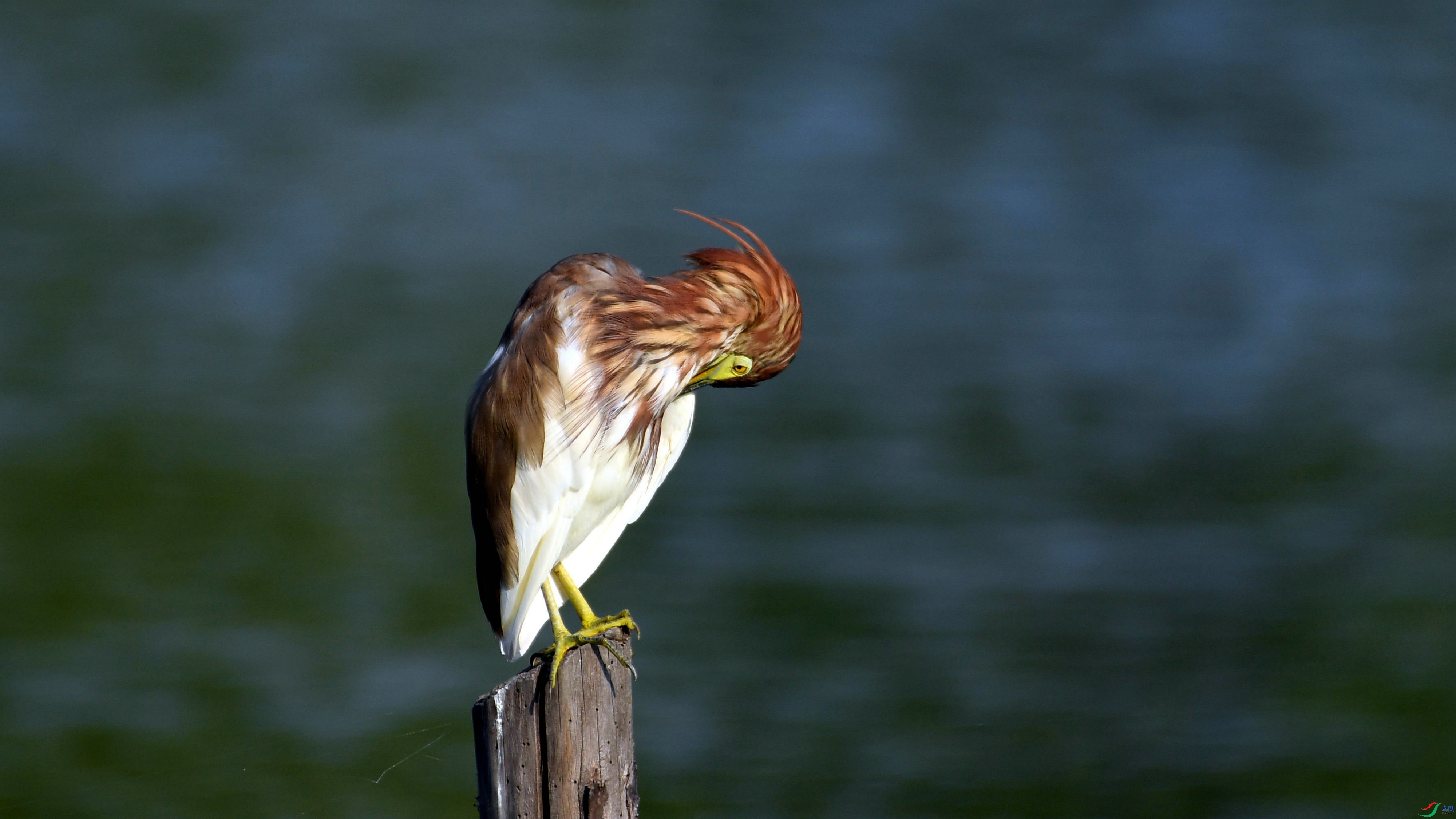 DSC_3843.JPG