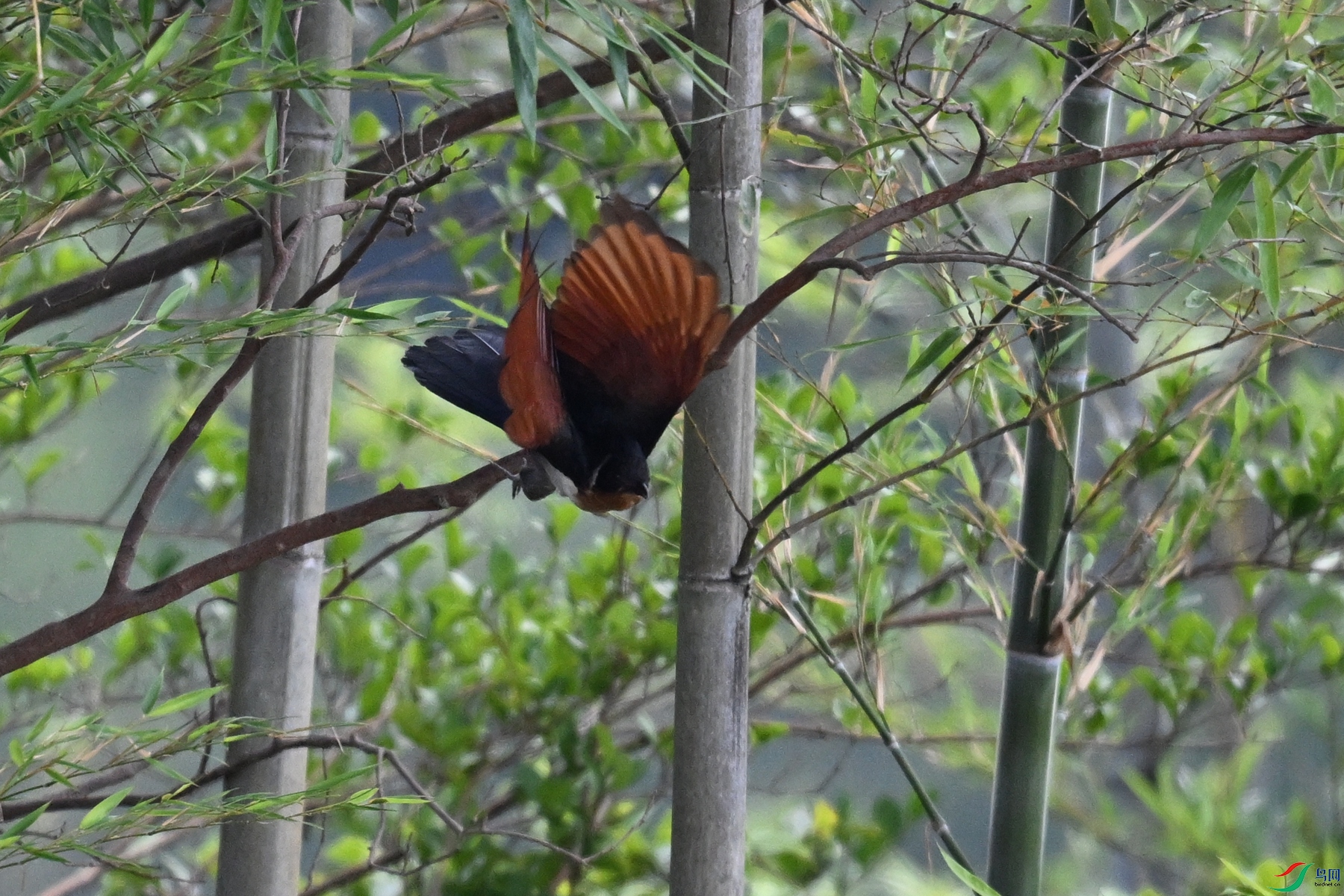 DSC_9230.JPG