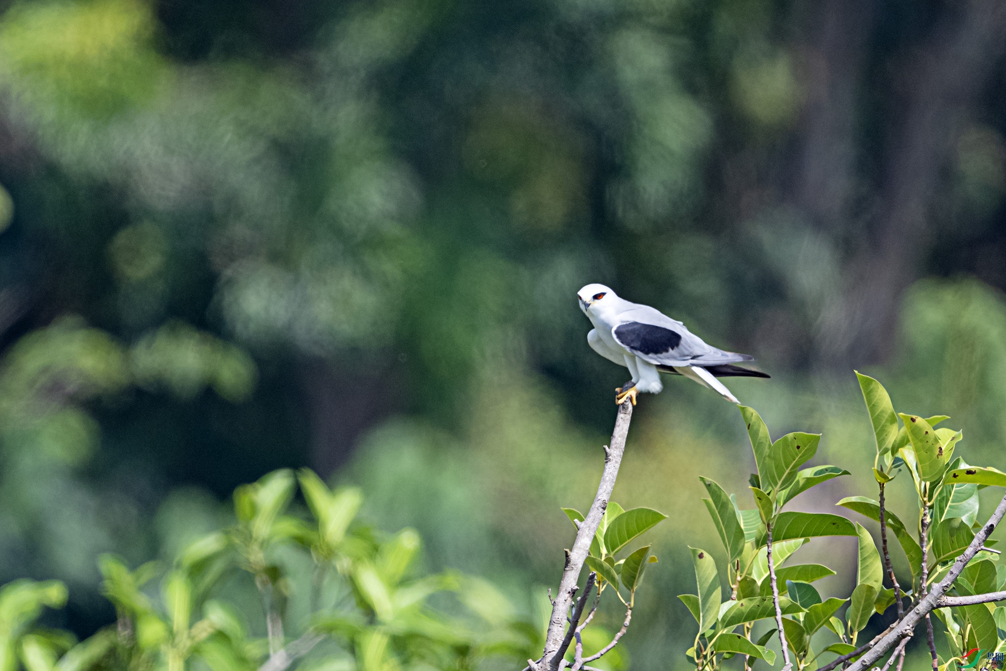 DSC_3703.jpg