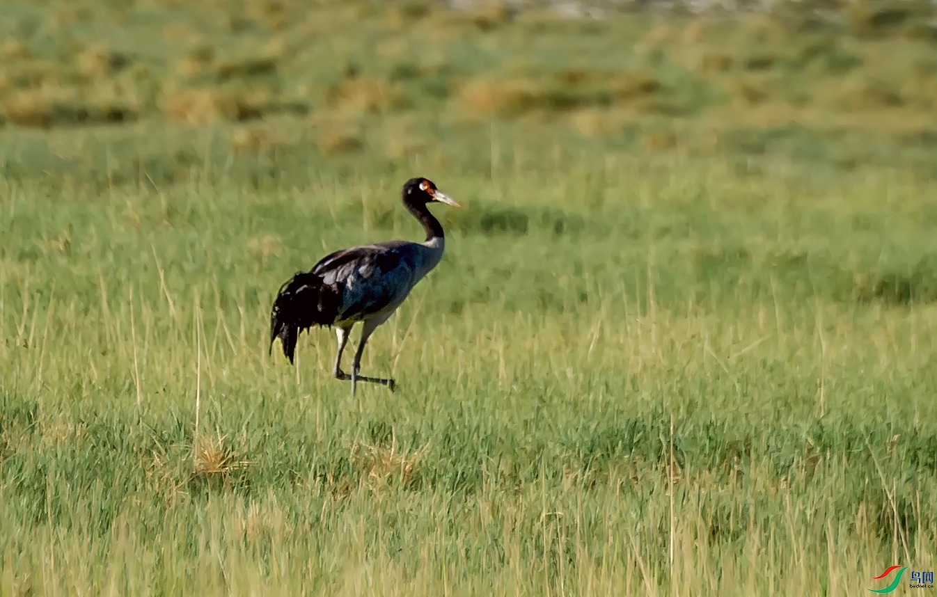 _DSC7187.jpg