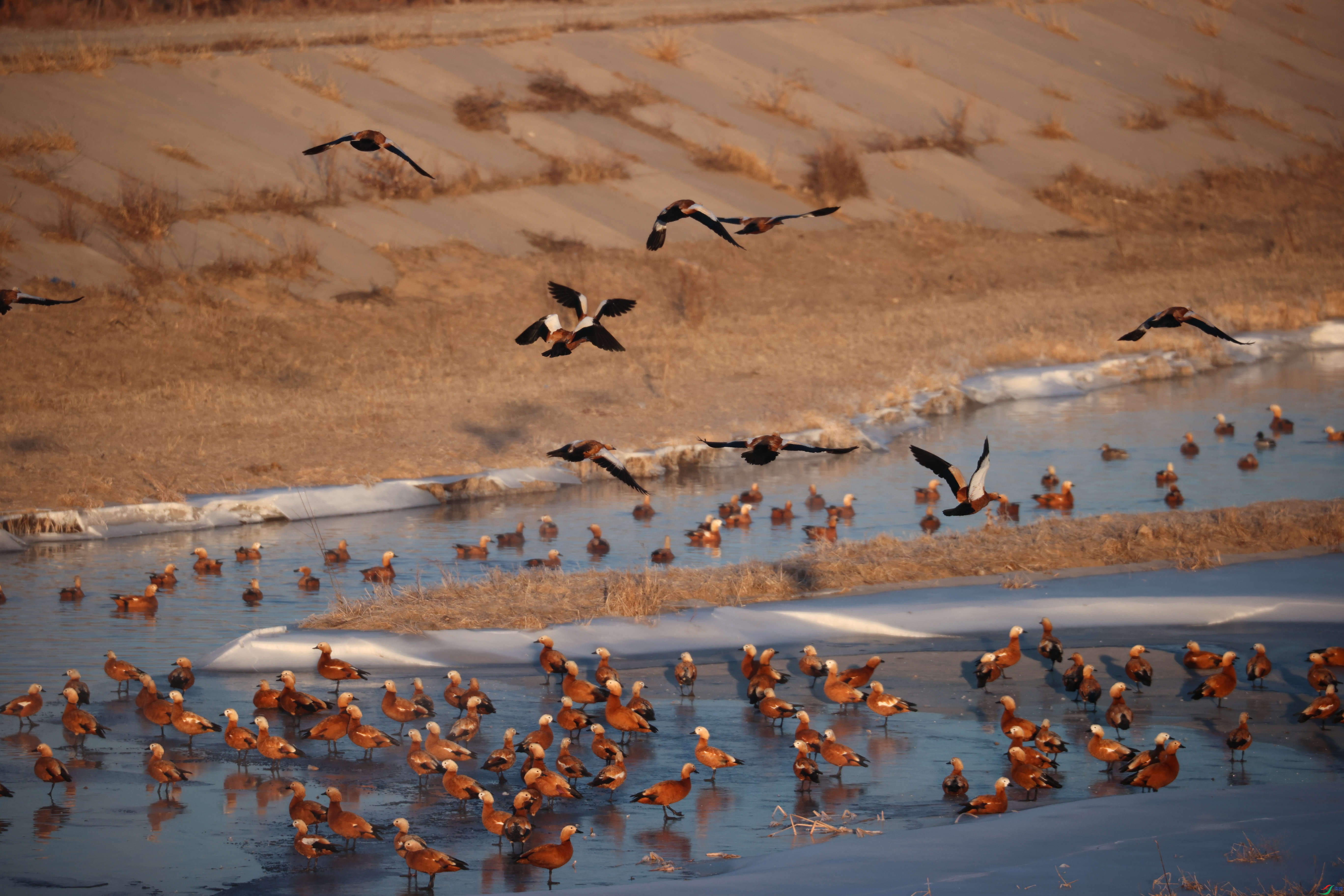 8902����ڿ���