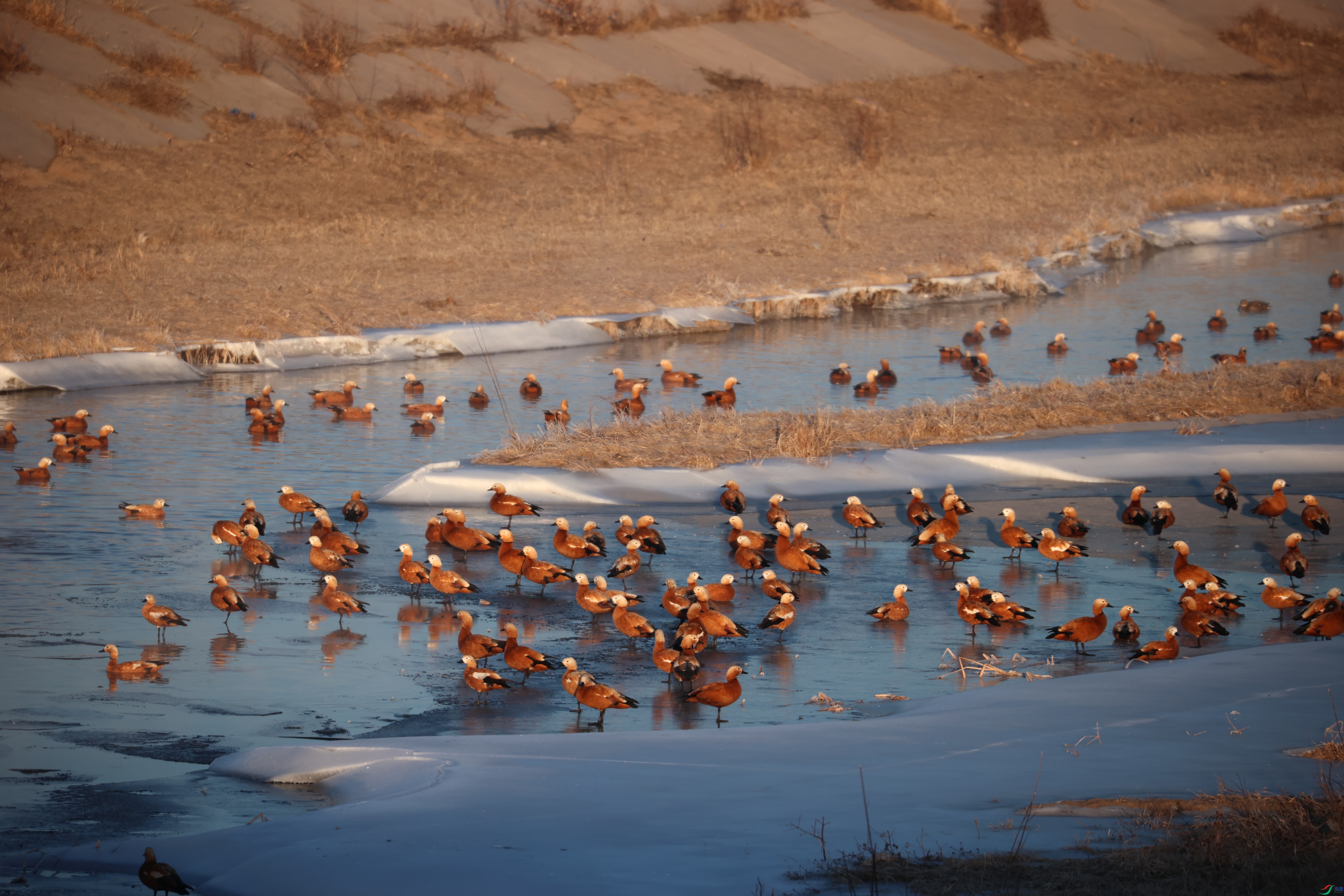 8903����ڿ���