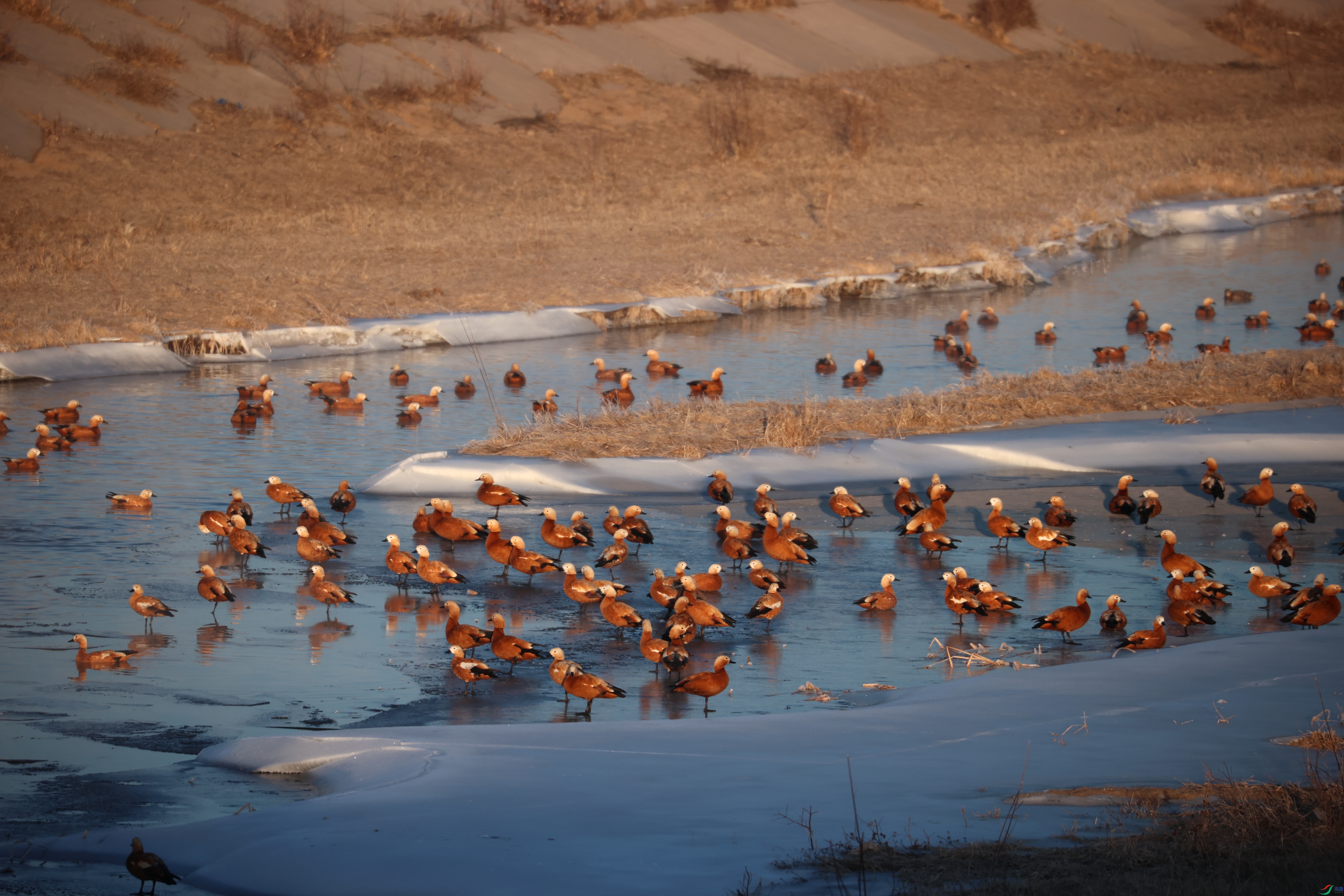 8909����ڿ���