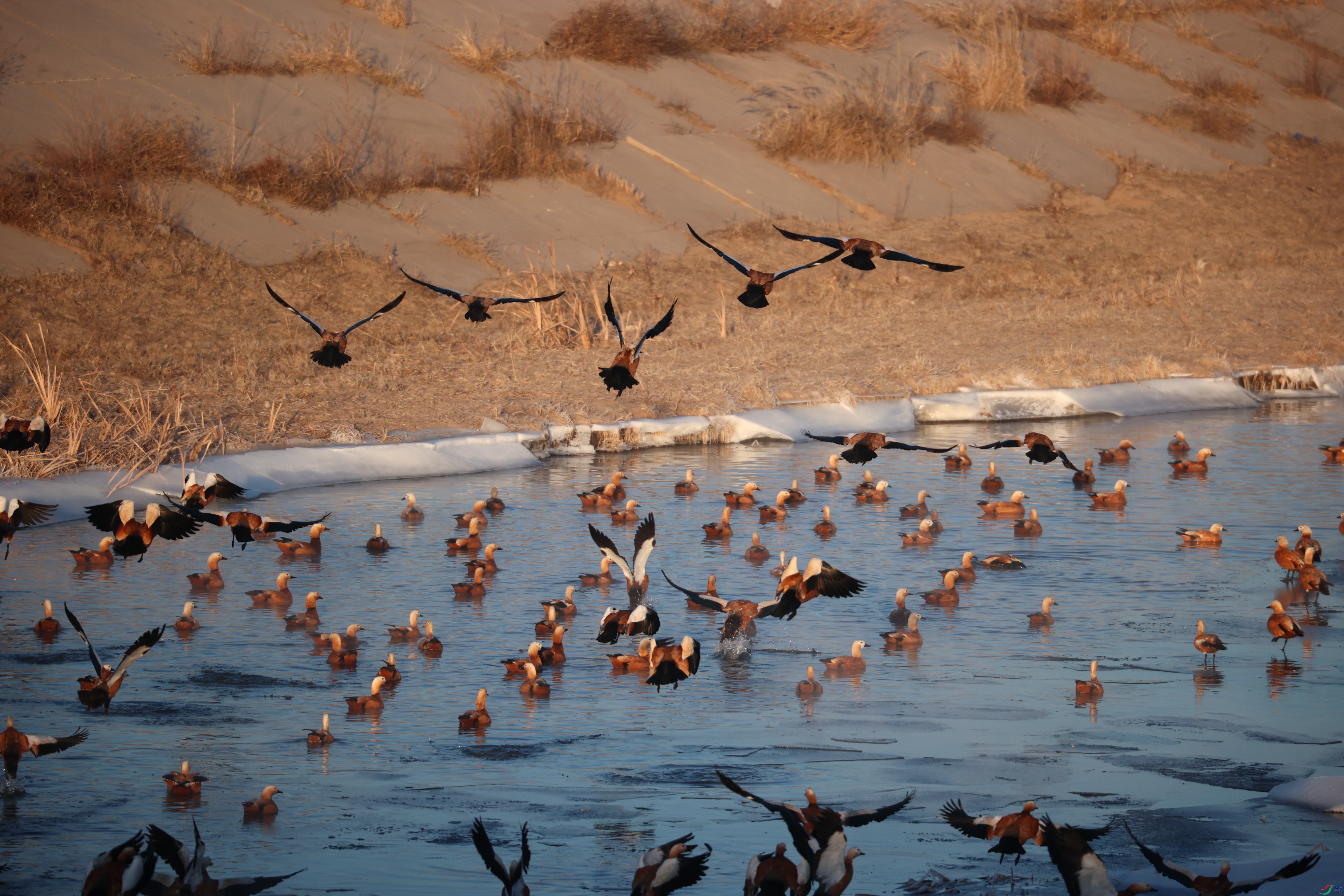 8918����ڿ���