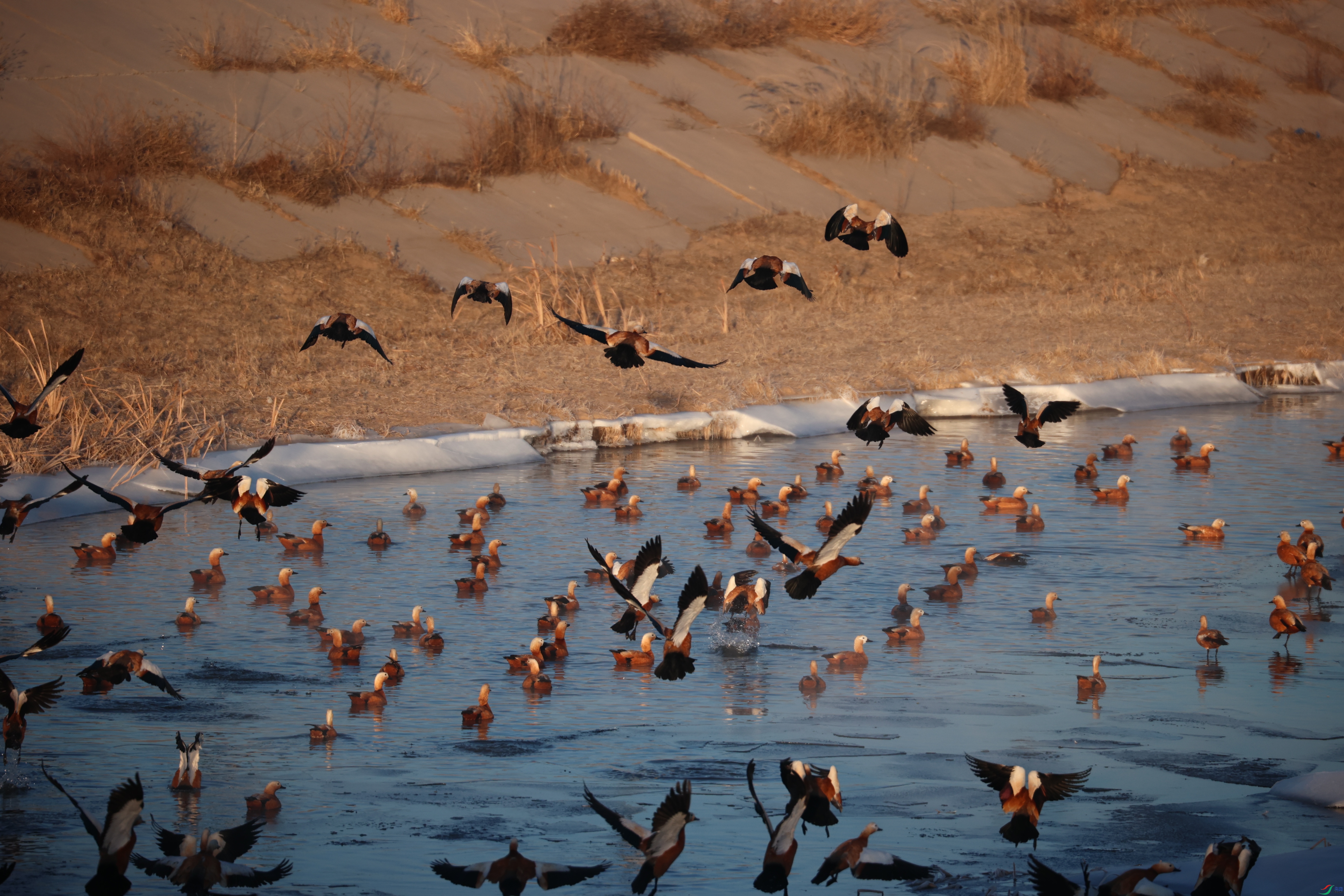 8919����ڿ���