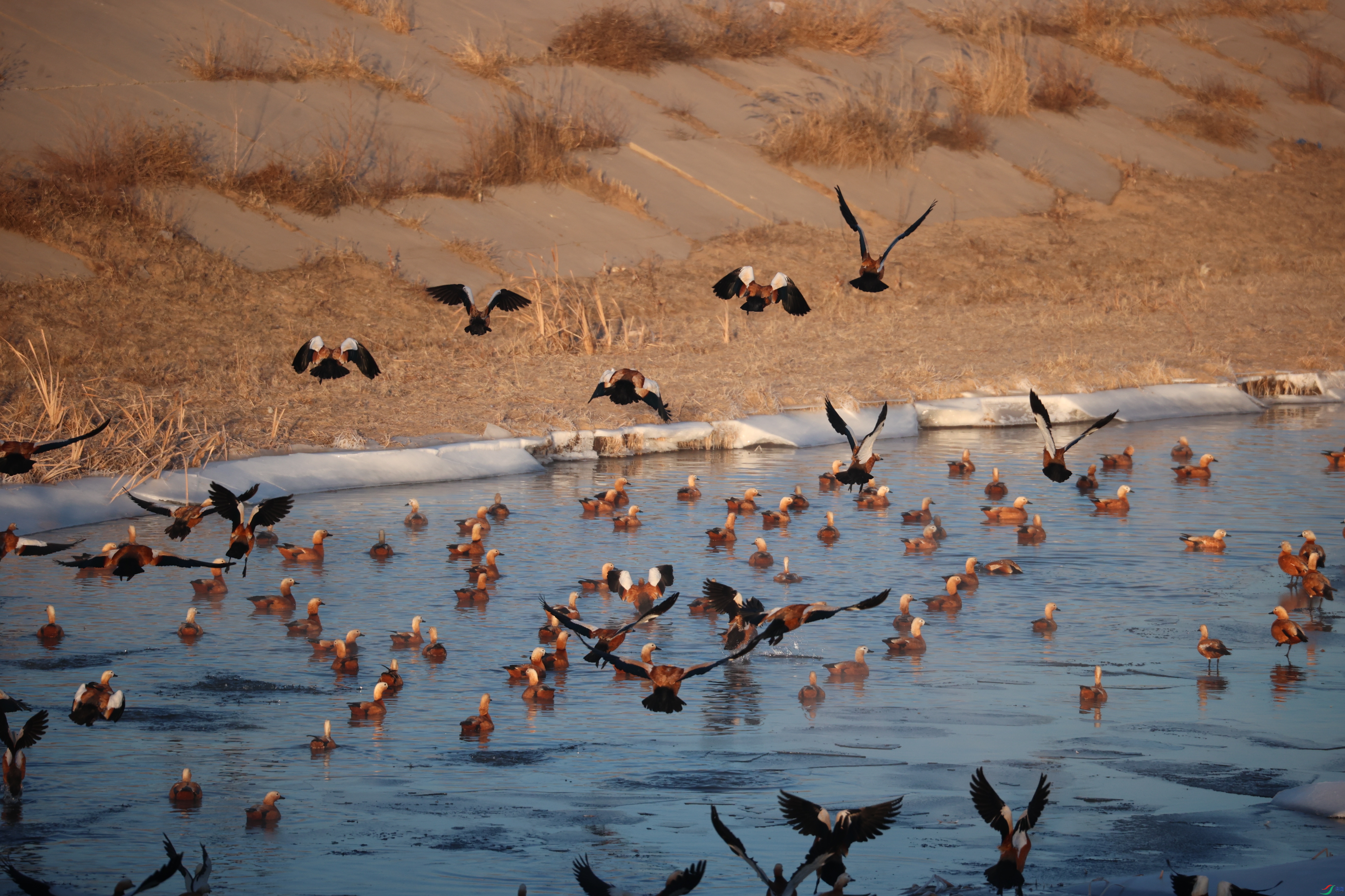 8920����ڿ���